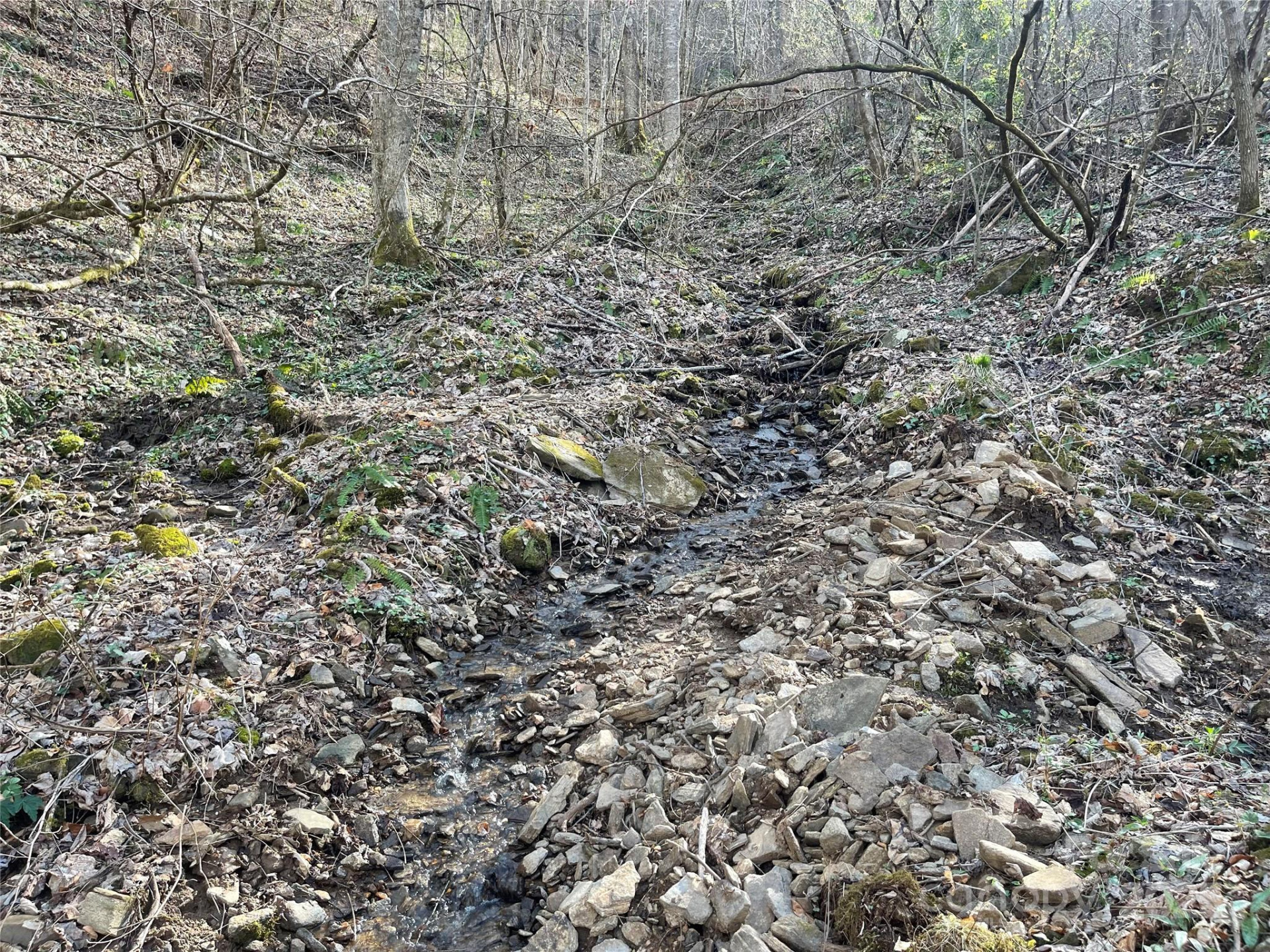 4 Copperhead Cove - Photo 9