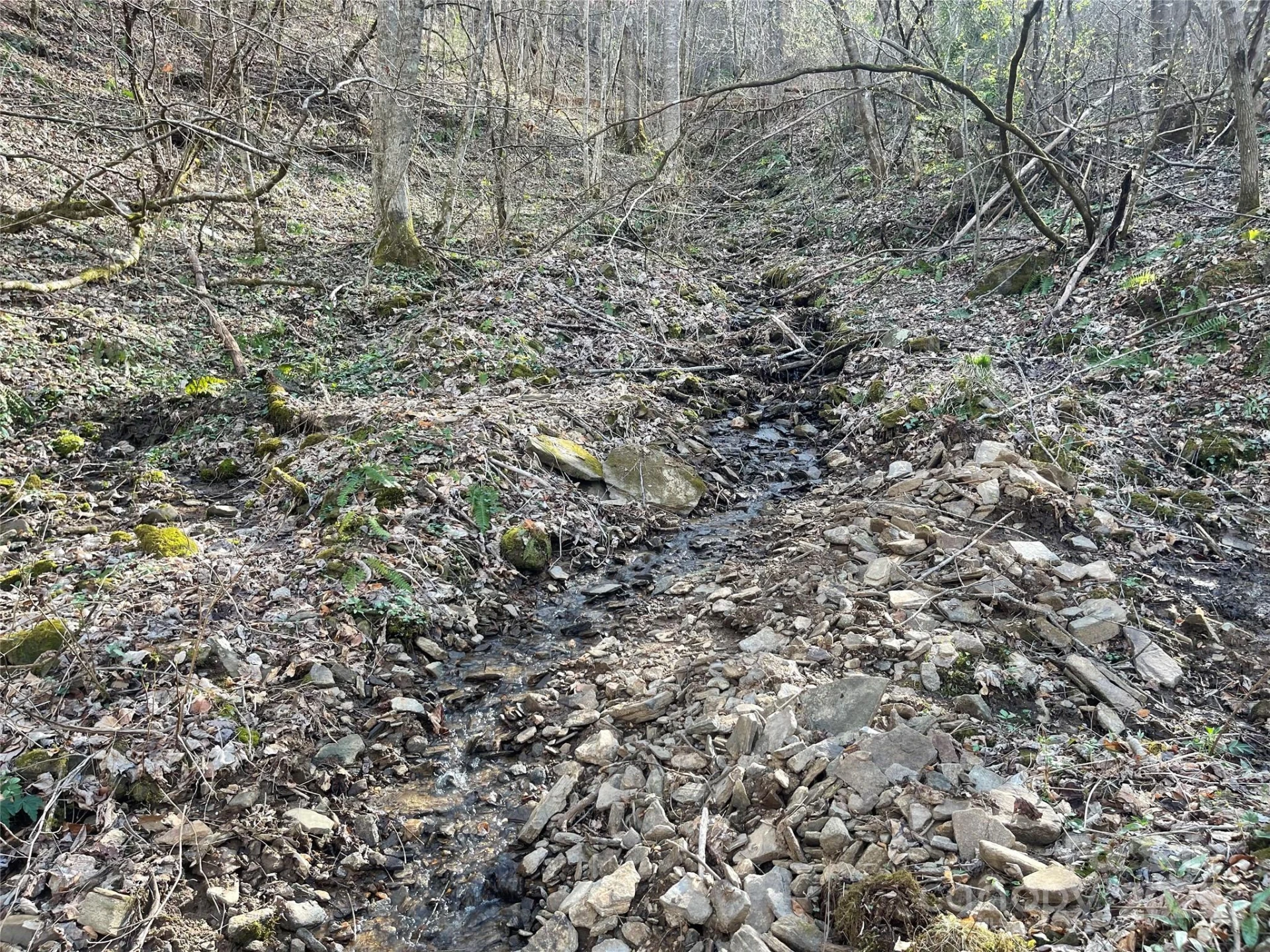 4 Copperhead Cove - Photo 9