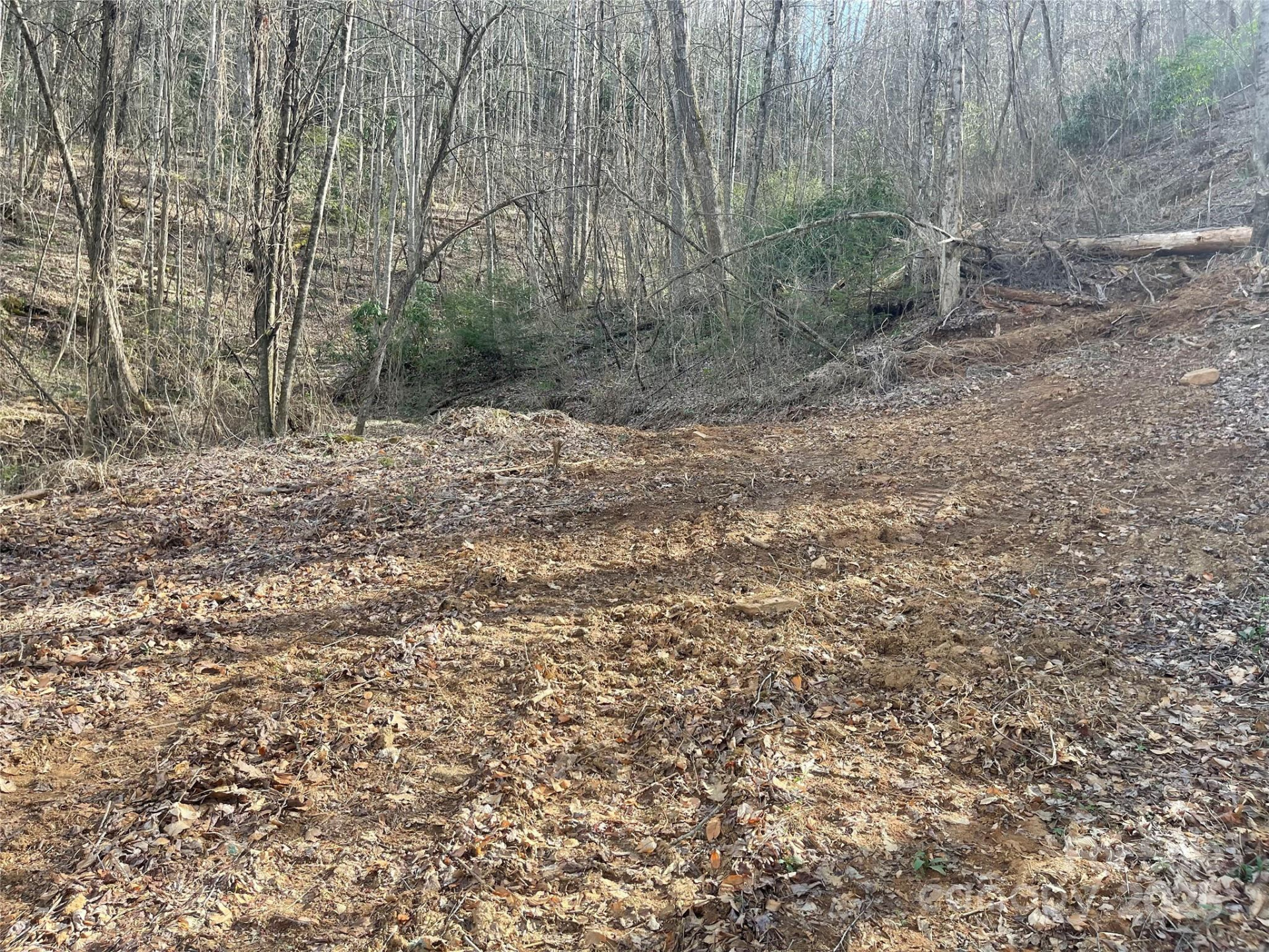 4 Copperhead Cove - Photo 10