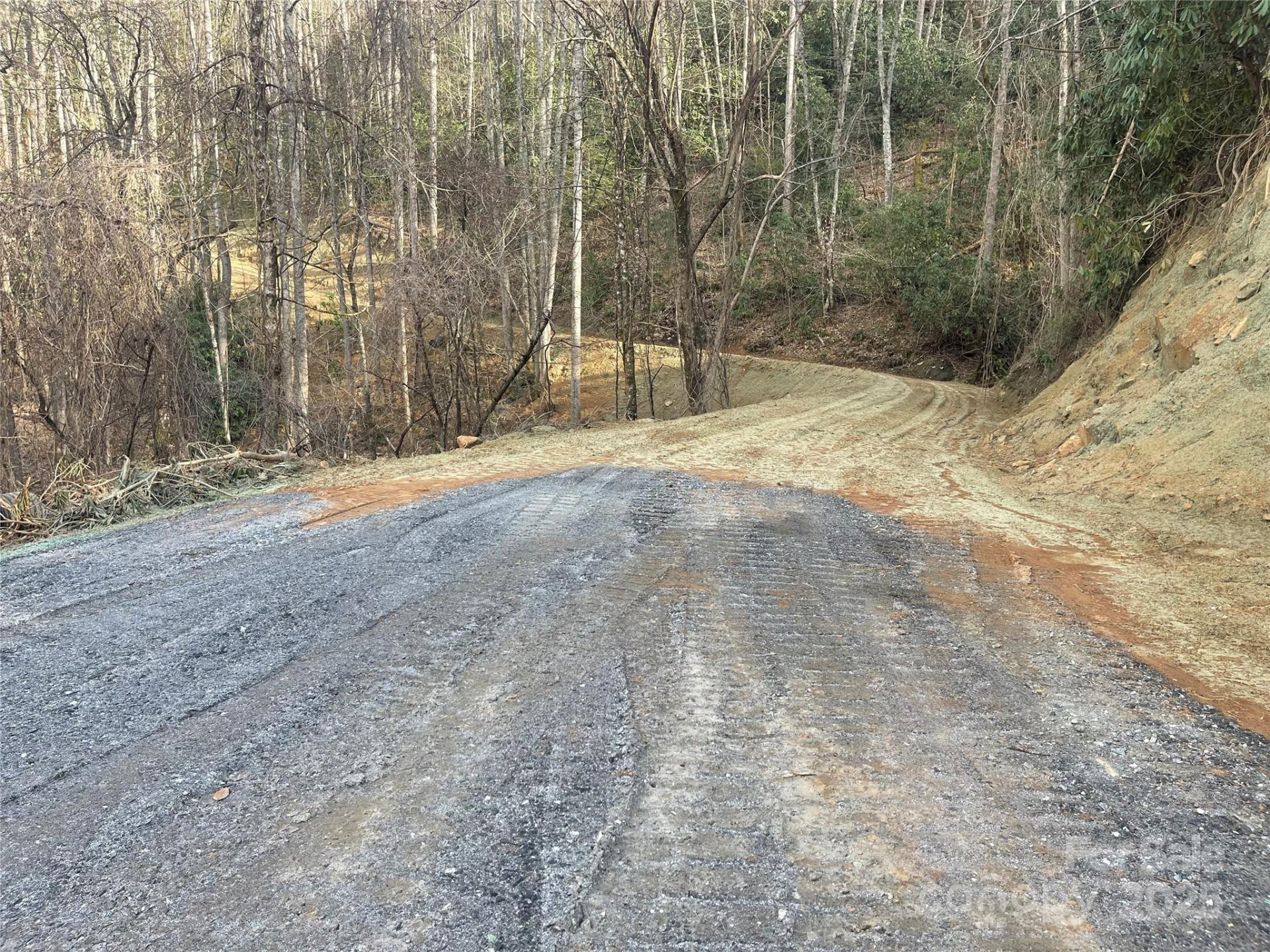 5 Copperhead Cove - Photo 11