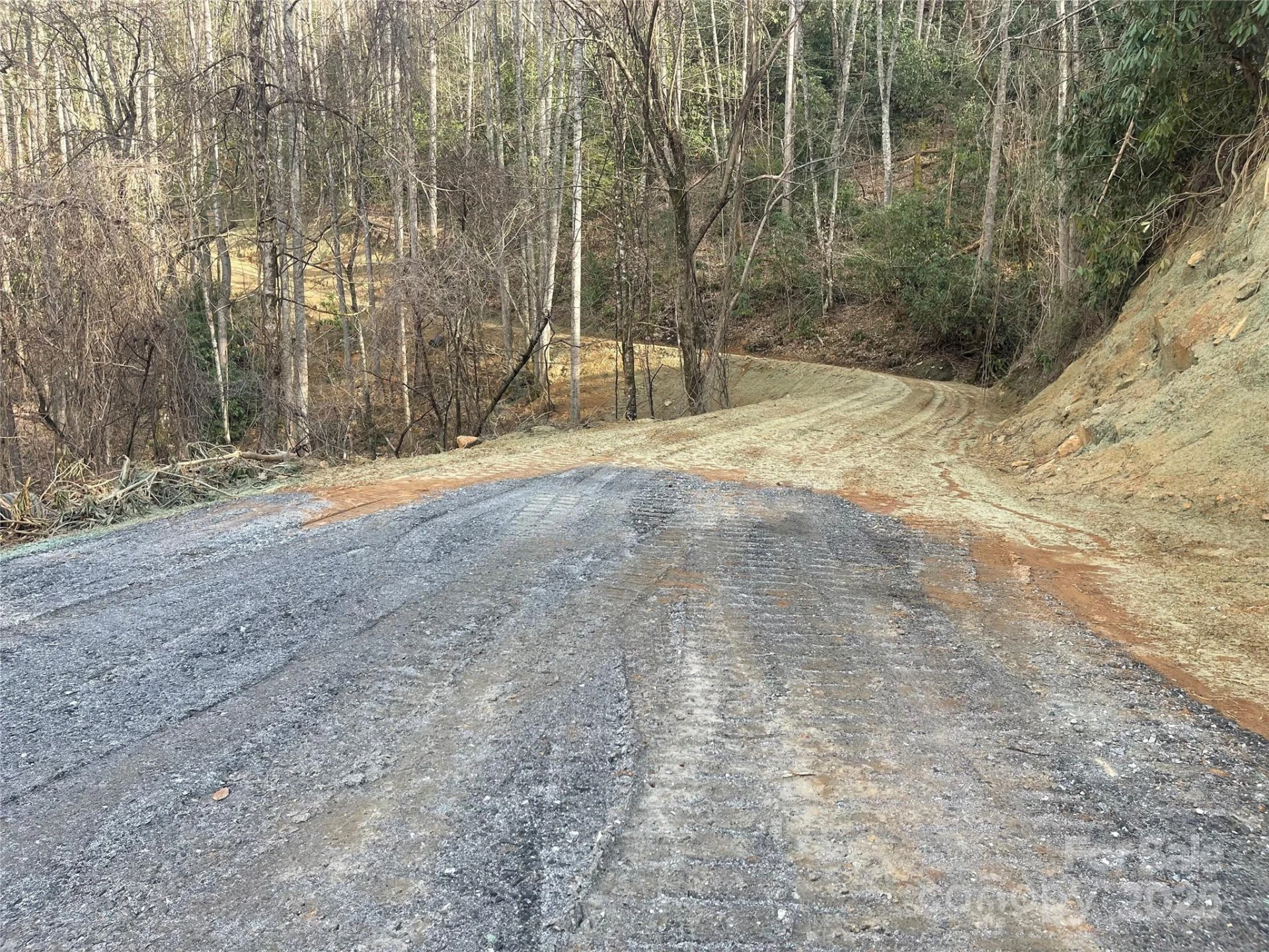 5 Copperhead Cove - Photo 11