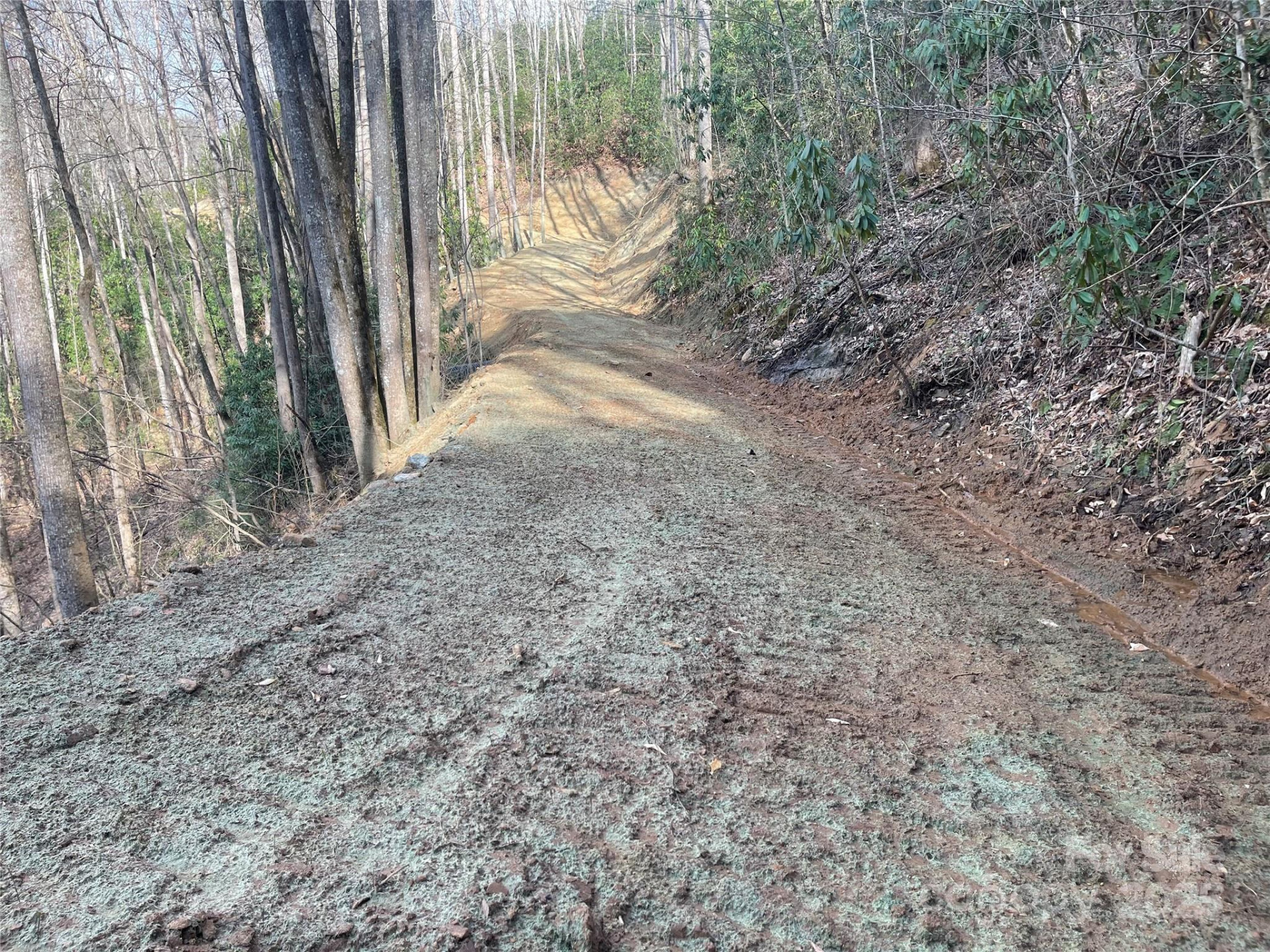 5 Copperhead Cove - Photo 13