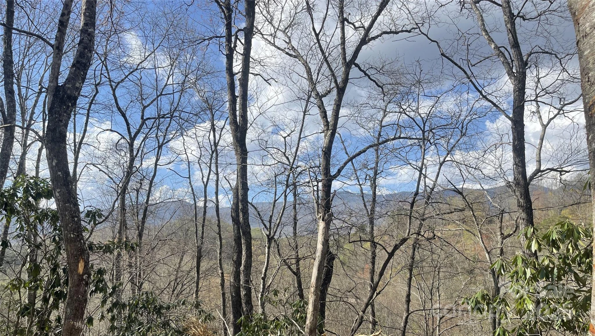 5 Copperhead Cove - Photo 4