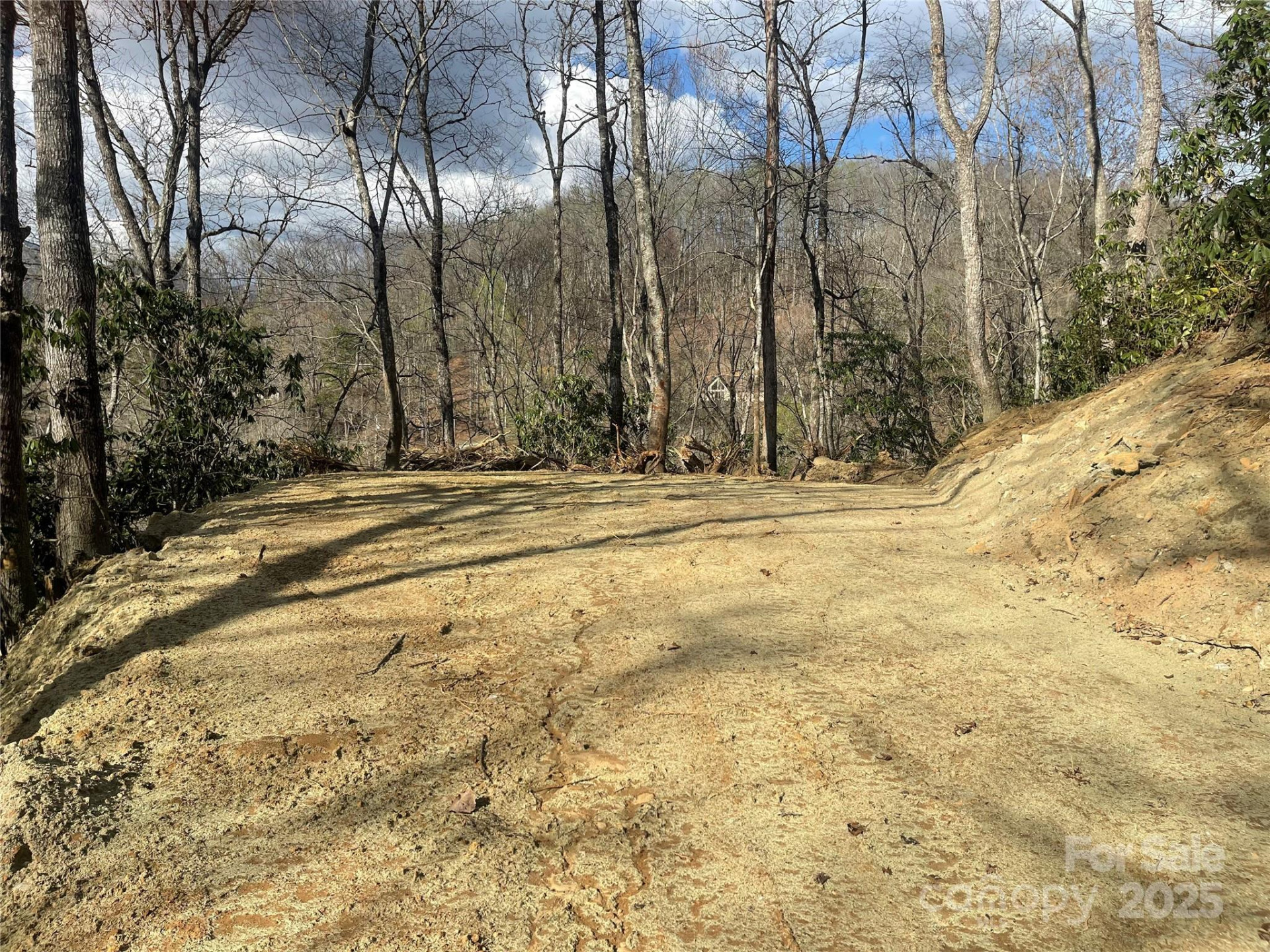 5 Copperhead Cove - Photo 5