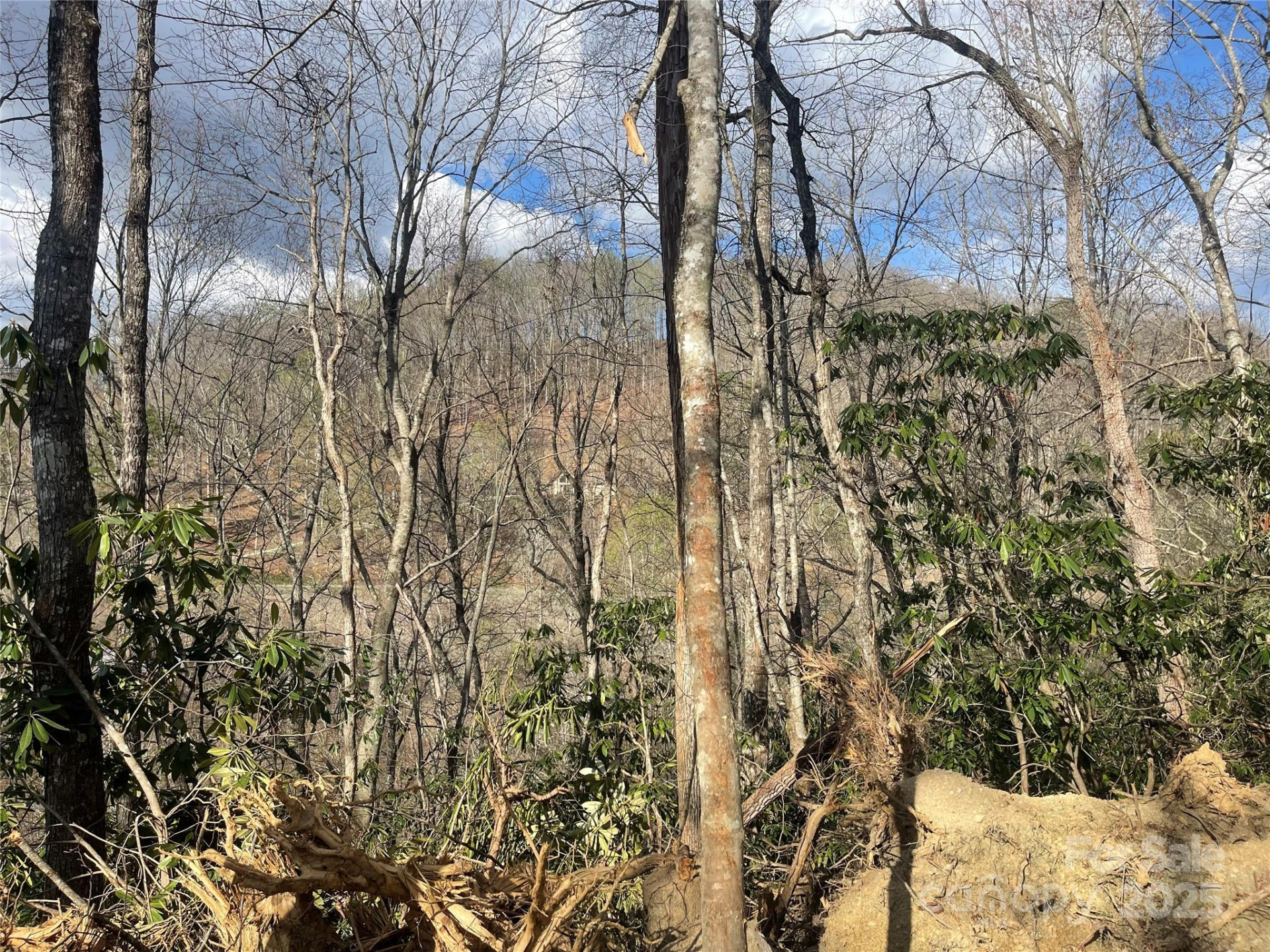 5 Copperhead Cove - Photo 6