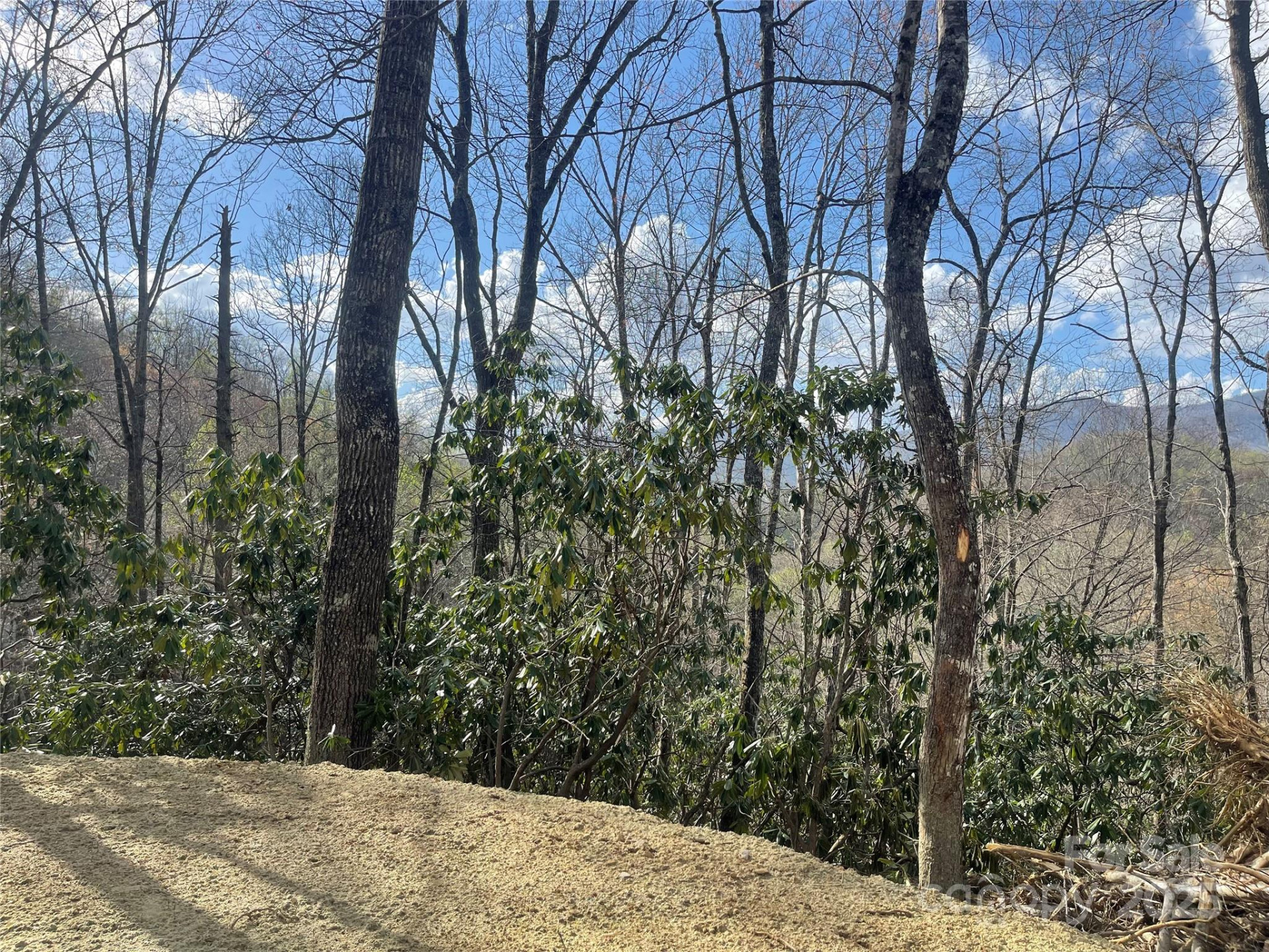 5 Copperhead Cove - Photo 8