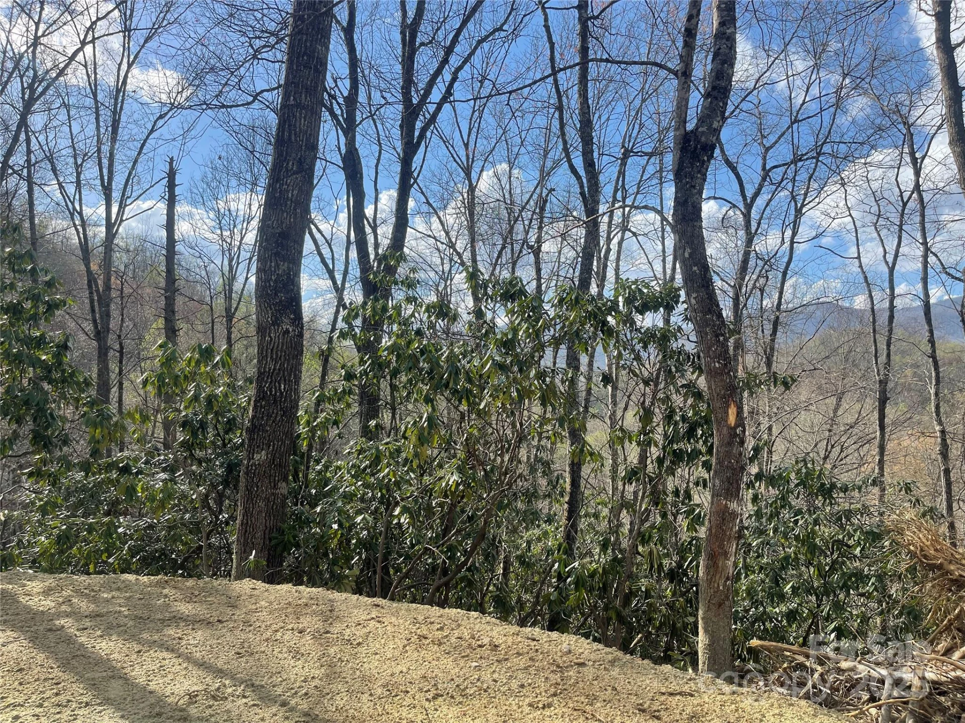 5 Copperhead Cove - Photo 8
