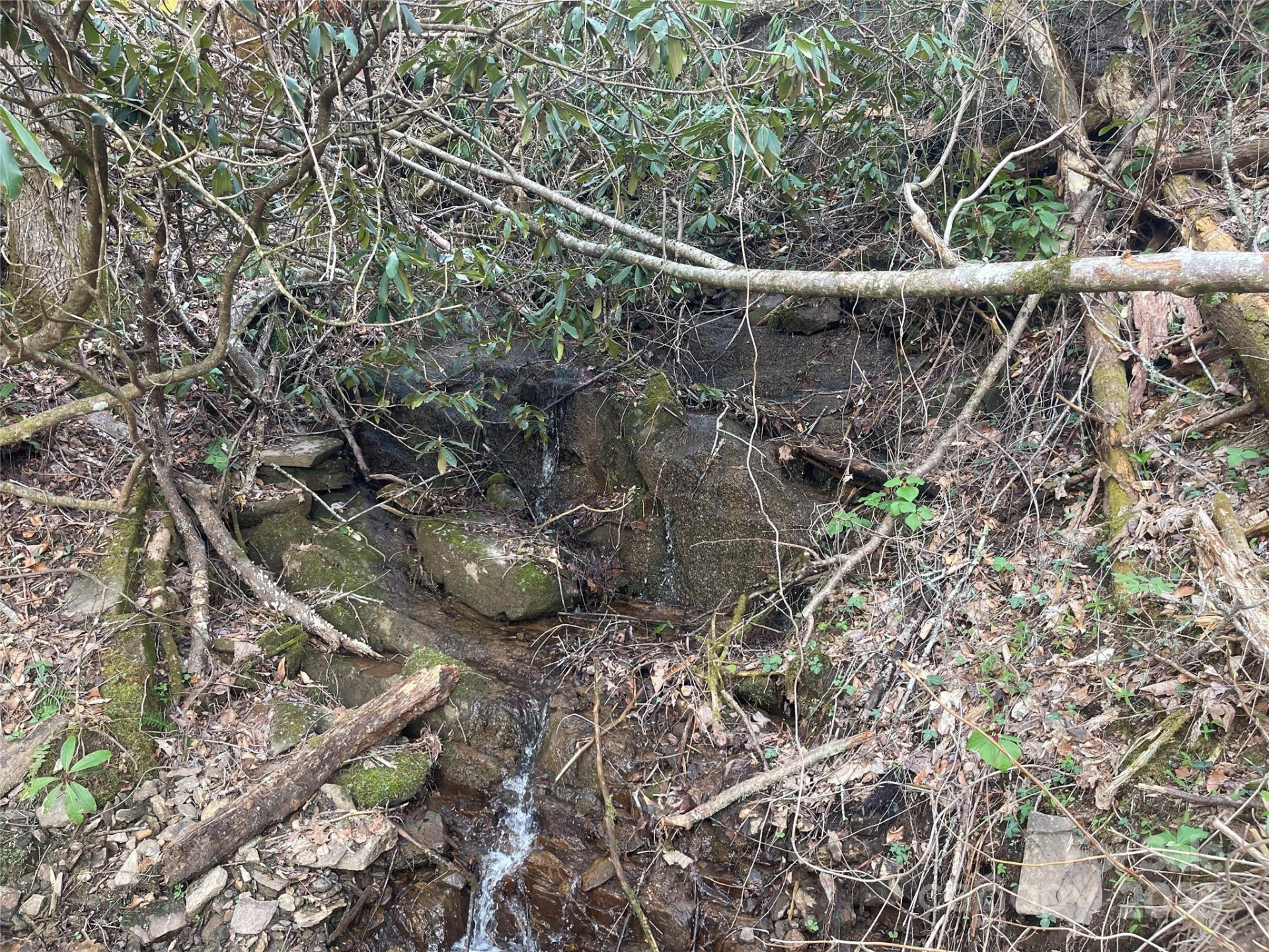 5 Copperhead Cove - Photo 10