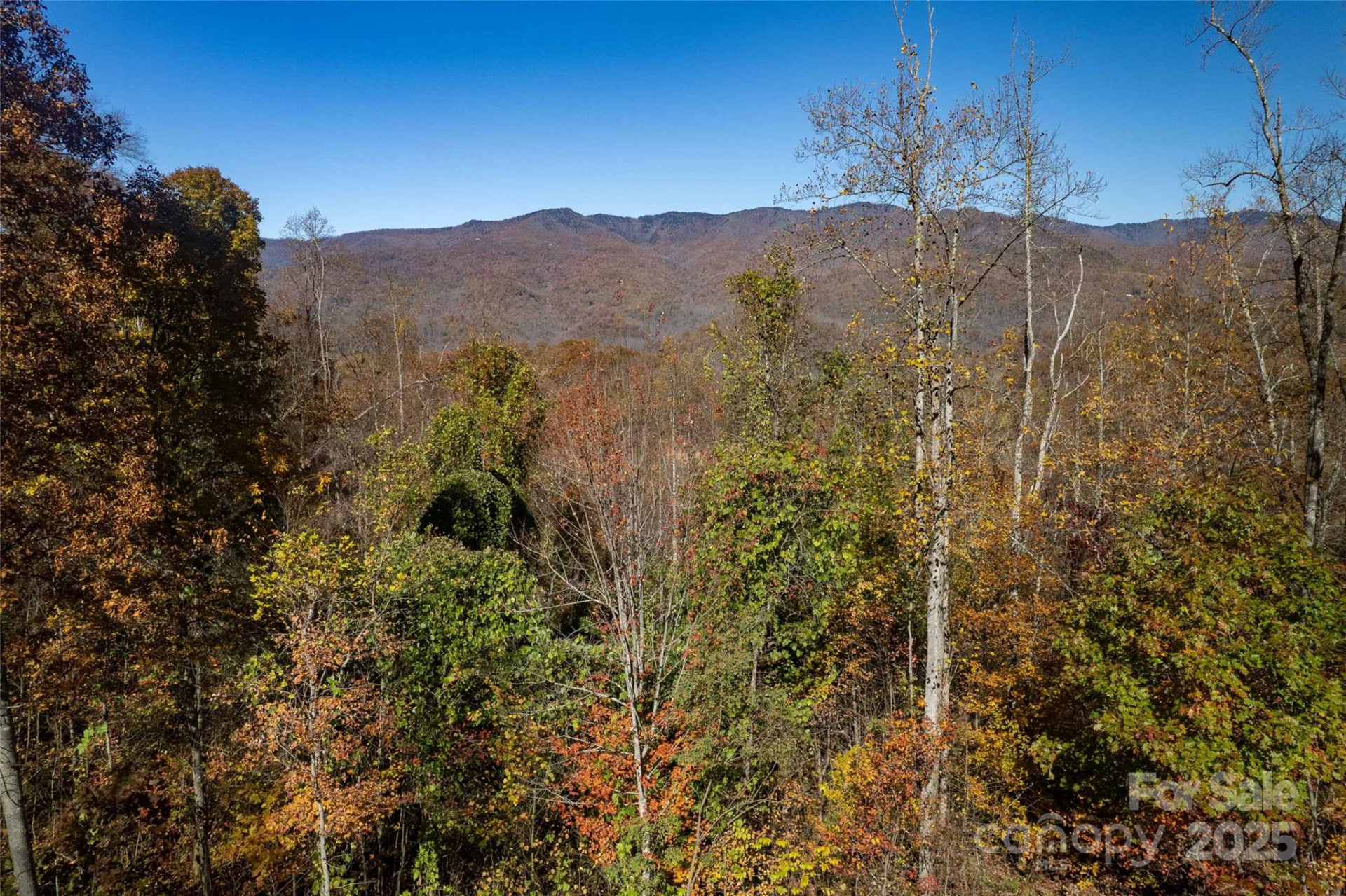 6 Copperhead Cove - Photo 16
