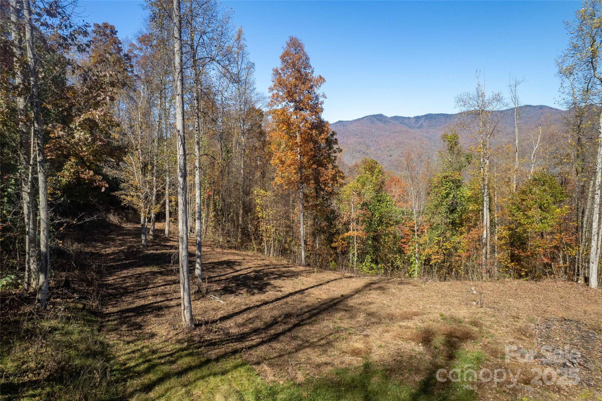 6 Copperhead Cove - Photo 24