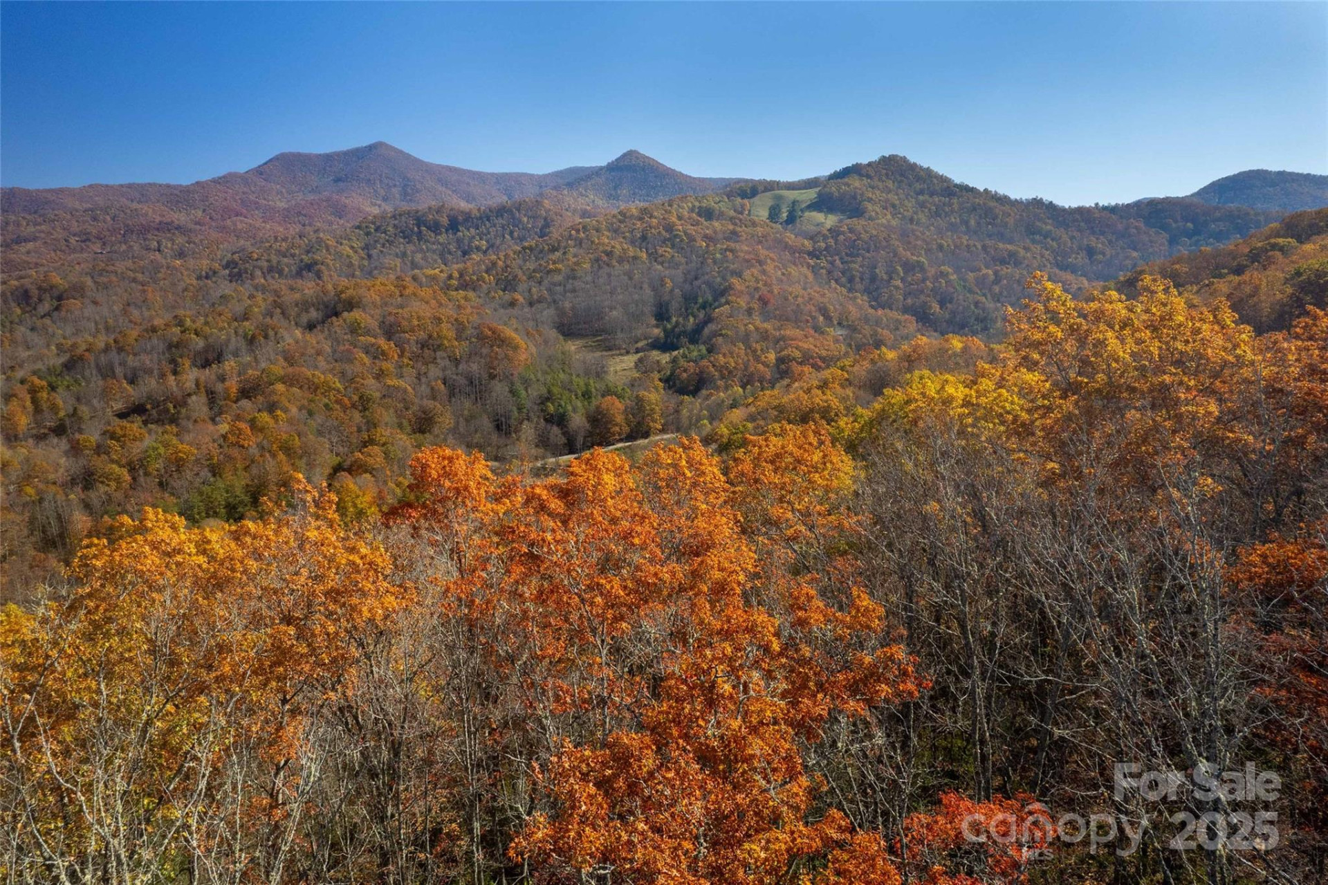6 Copperhead Cove - Photo 4