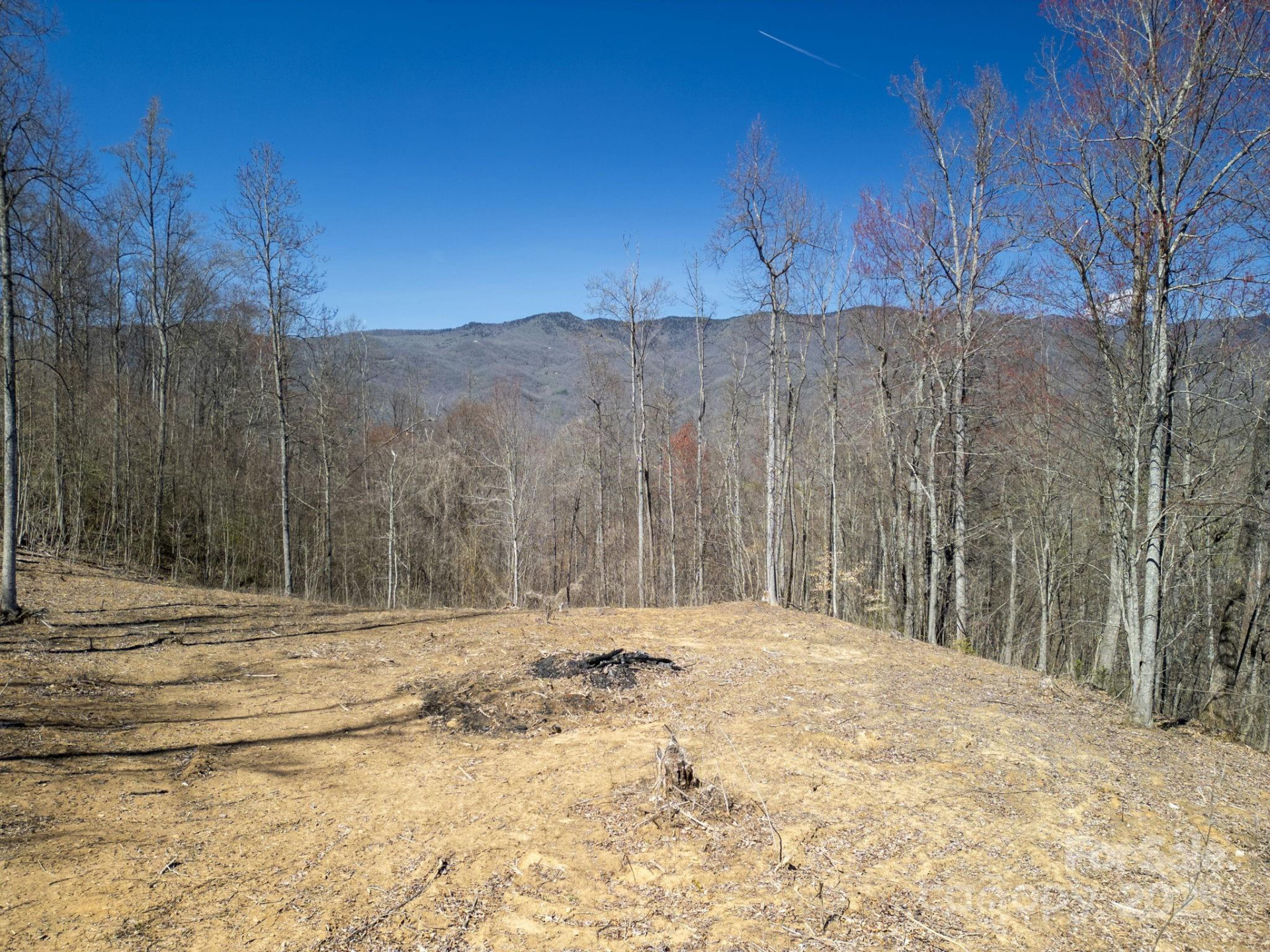 6 Copperhead Cove - Photo 5