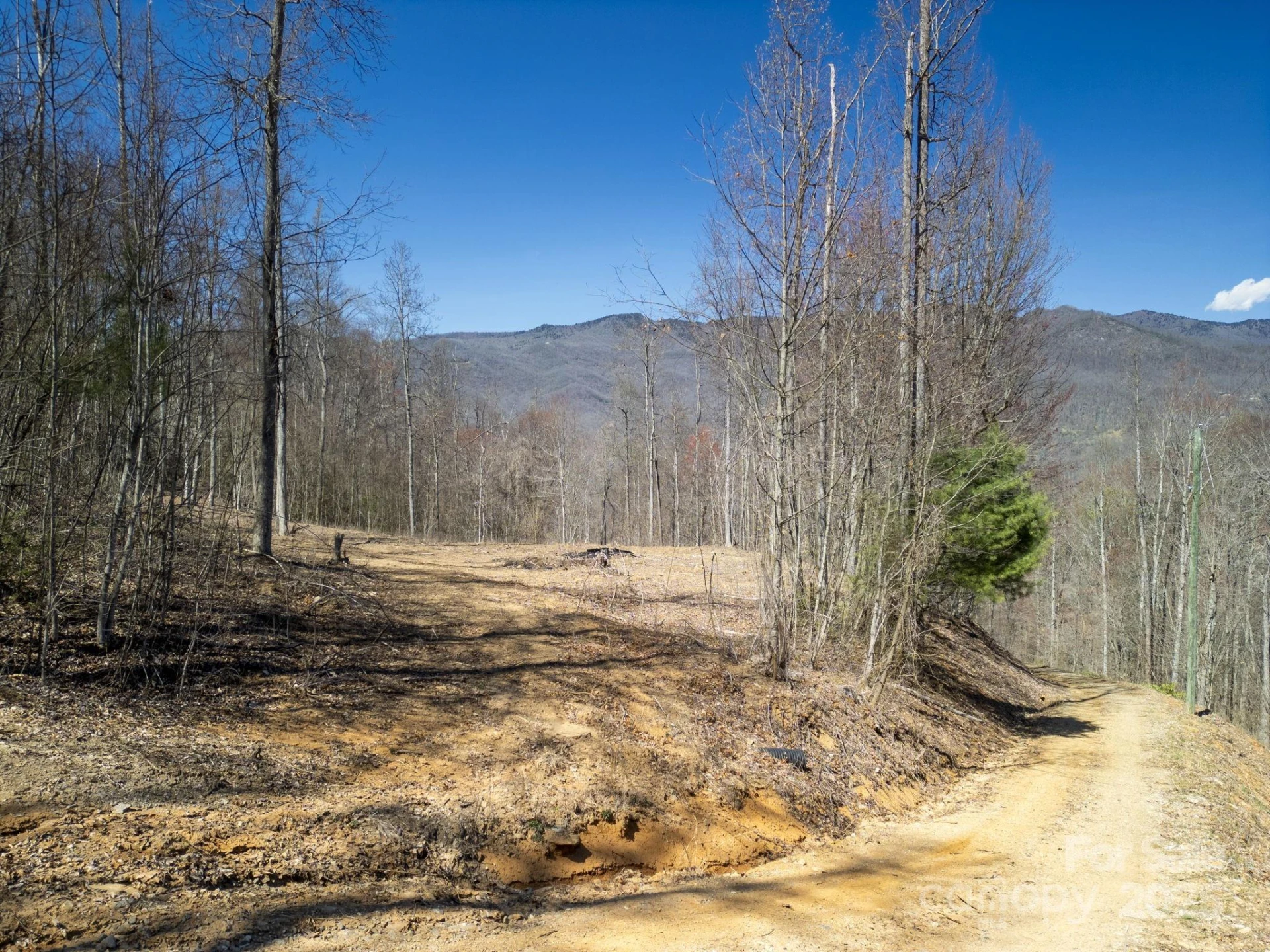 6 Copperhead Cove - Photo 8