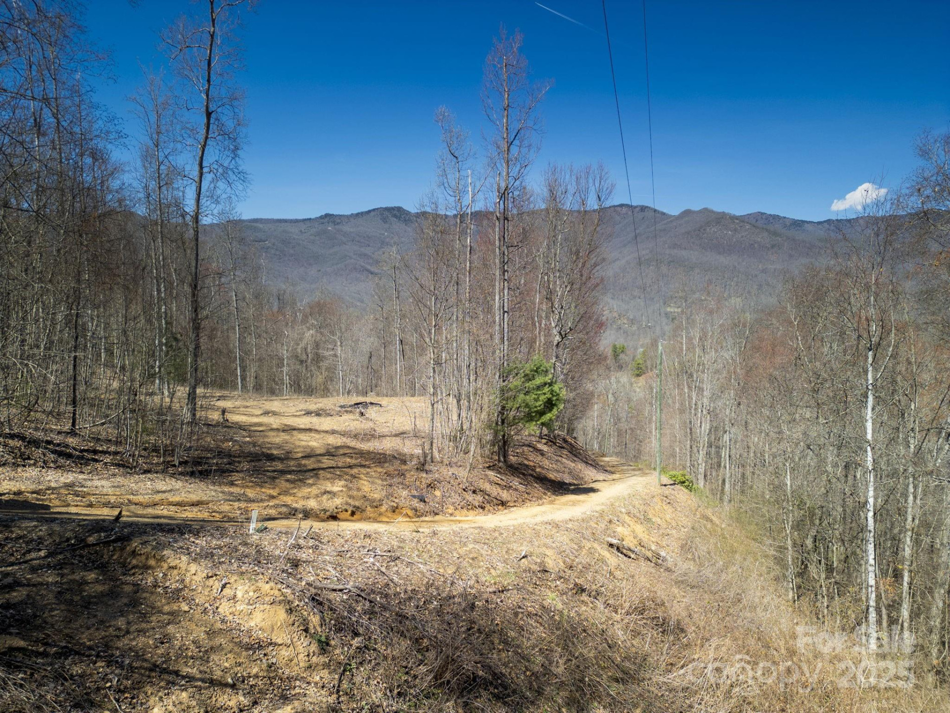 6 Copperhead Cove - Photo 9