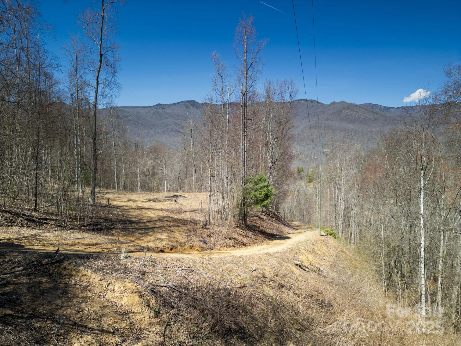 6 Copperhead Cove - Photo 9