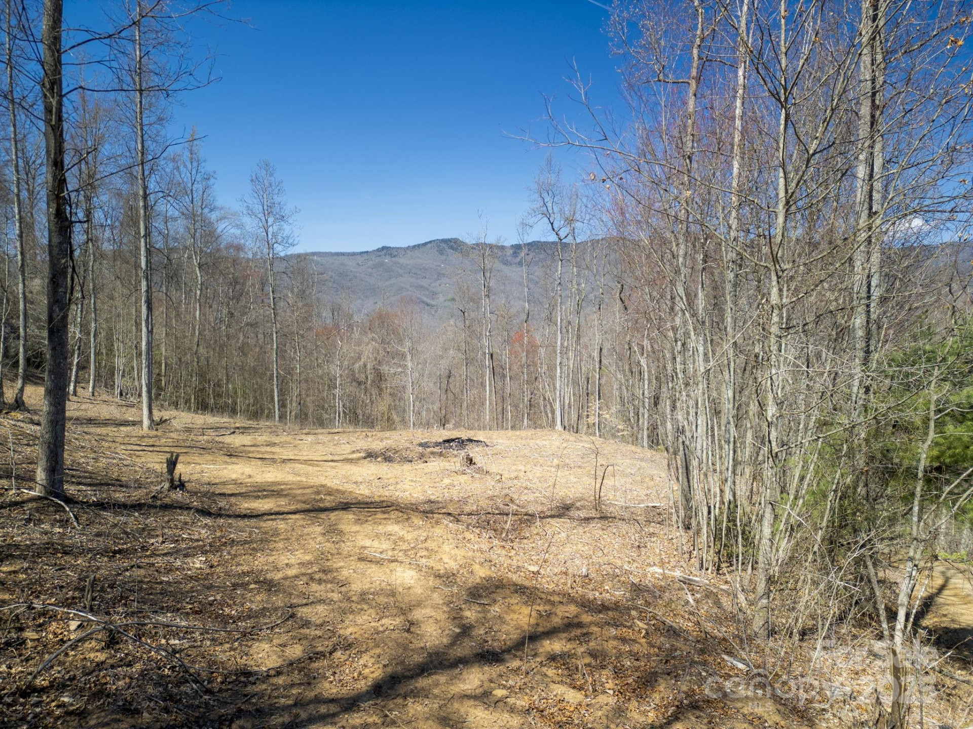 6 Copperhead Cove - Photo 10