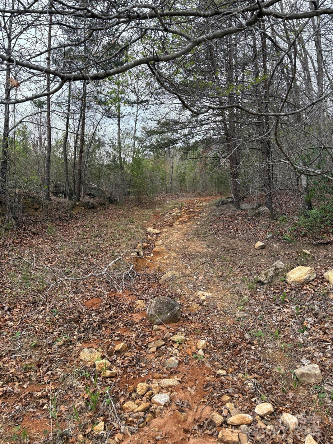 0 Rose Hollow Drive #Tract 1 - Photo 4