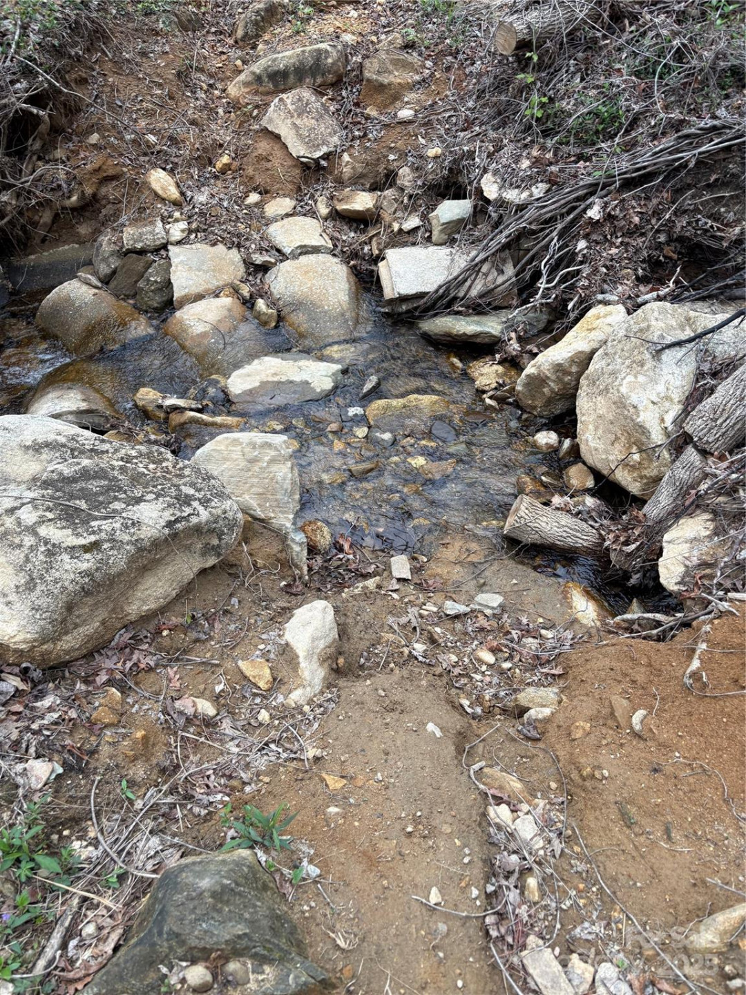 0 Rose Hollow Drive #Tract 1 - Photo 7