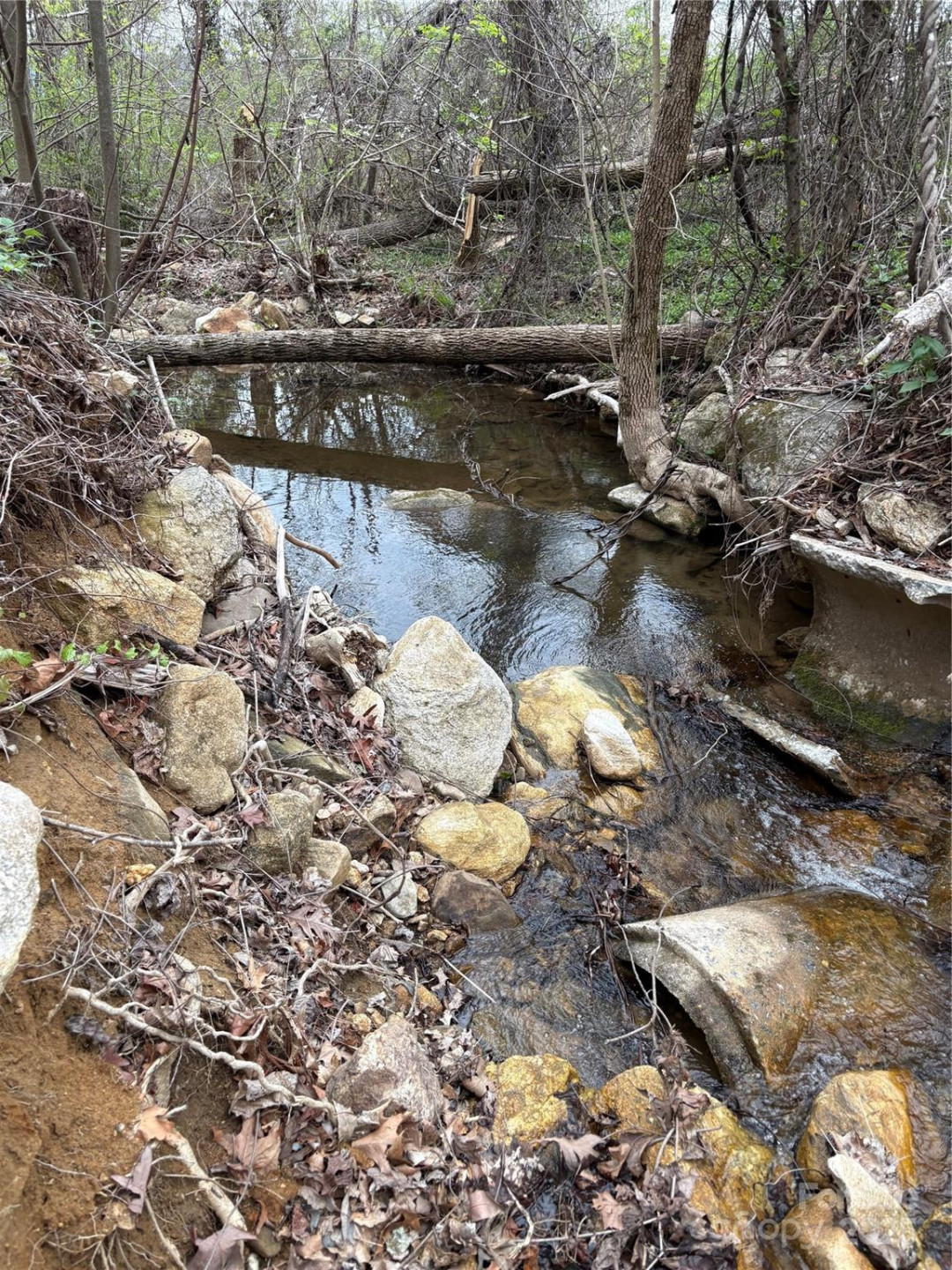 0 Rose Hollow Drive #Tract 1 - Photo 8