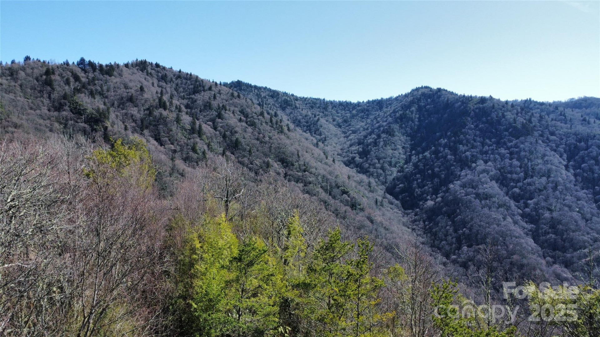 Lot 84 Black Rock Creek Creek #84 - Photo 3