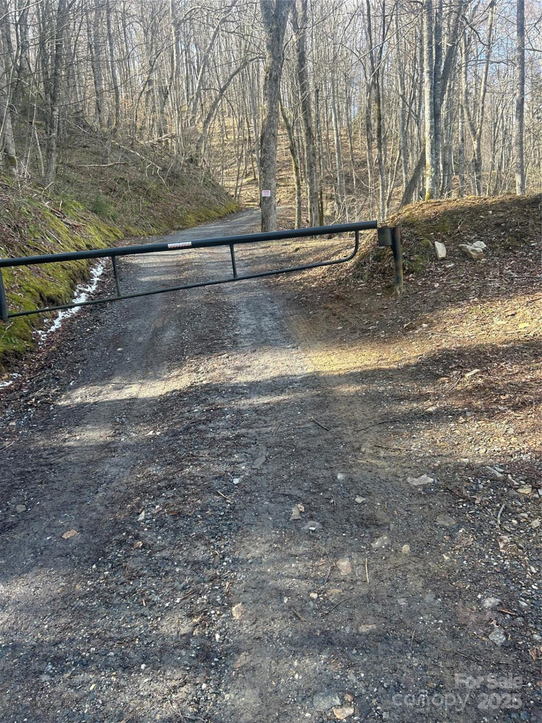 Lot 84 Black Rock Creek Creek #84 - Photo 6