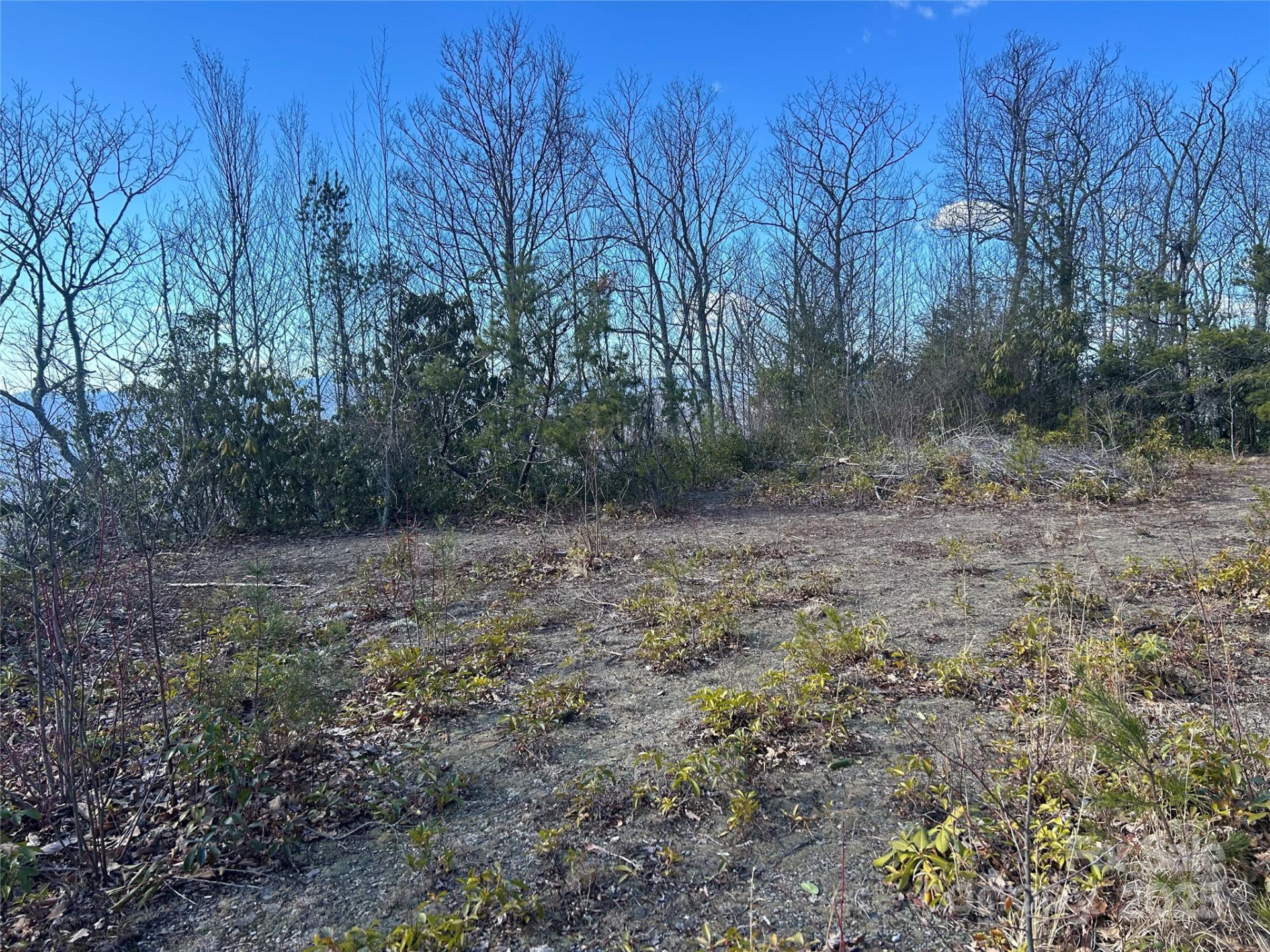 Lot 84 Black Rock Creek Creek #84 - Photo 7