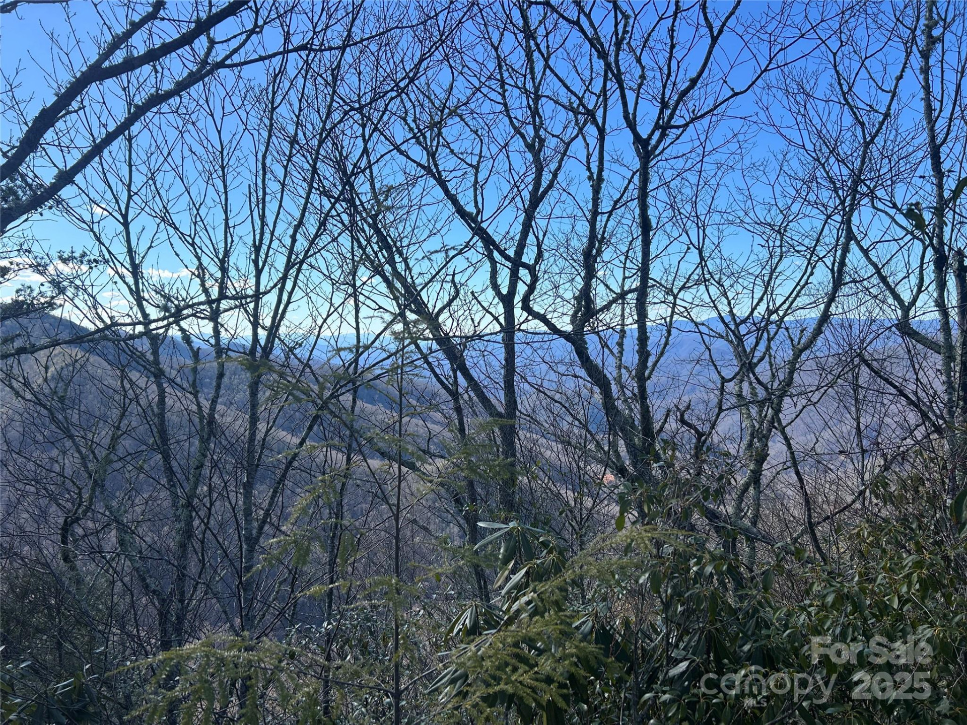 Lot 84 Black Rock Creek Creek #84 - Photo 8