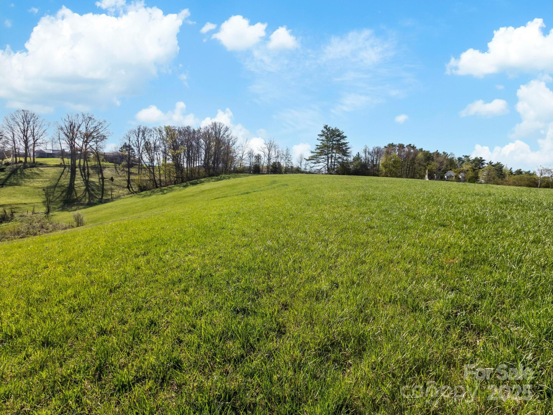 99999 Sprouse Town Road - Photo 18