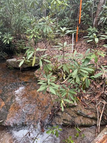 Tract A Cherrywood Lane, Pisgah Forest, NC, 28768