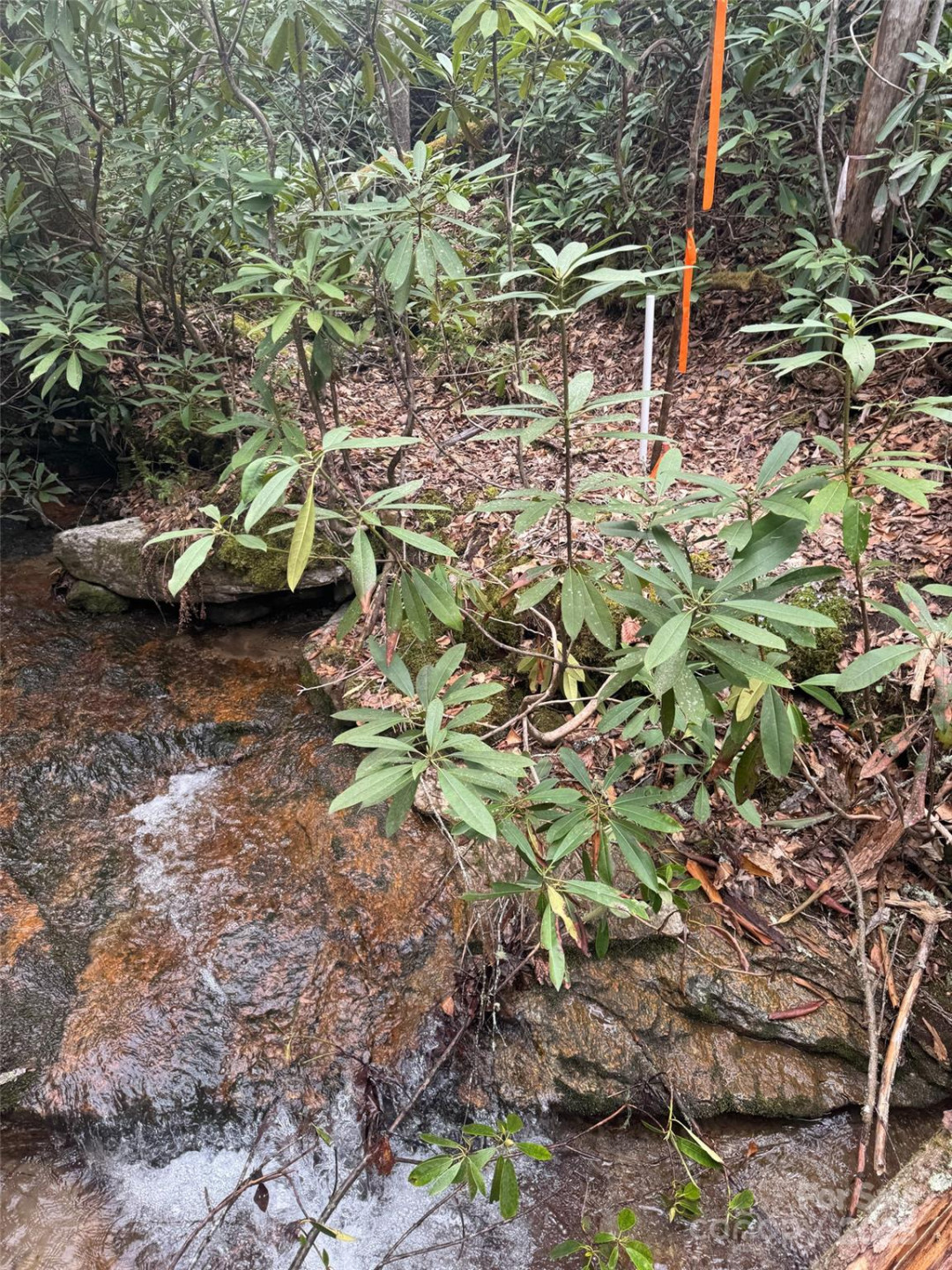 Tract A Cherrywood Lane #A