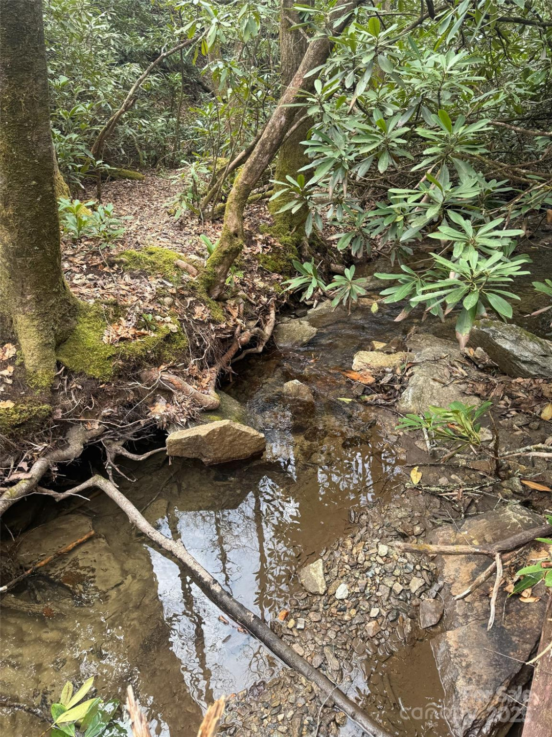 Tract A Cherrywood Lane #A - Photo 2