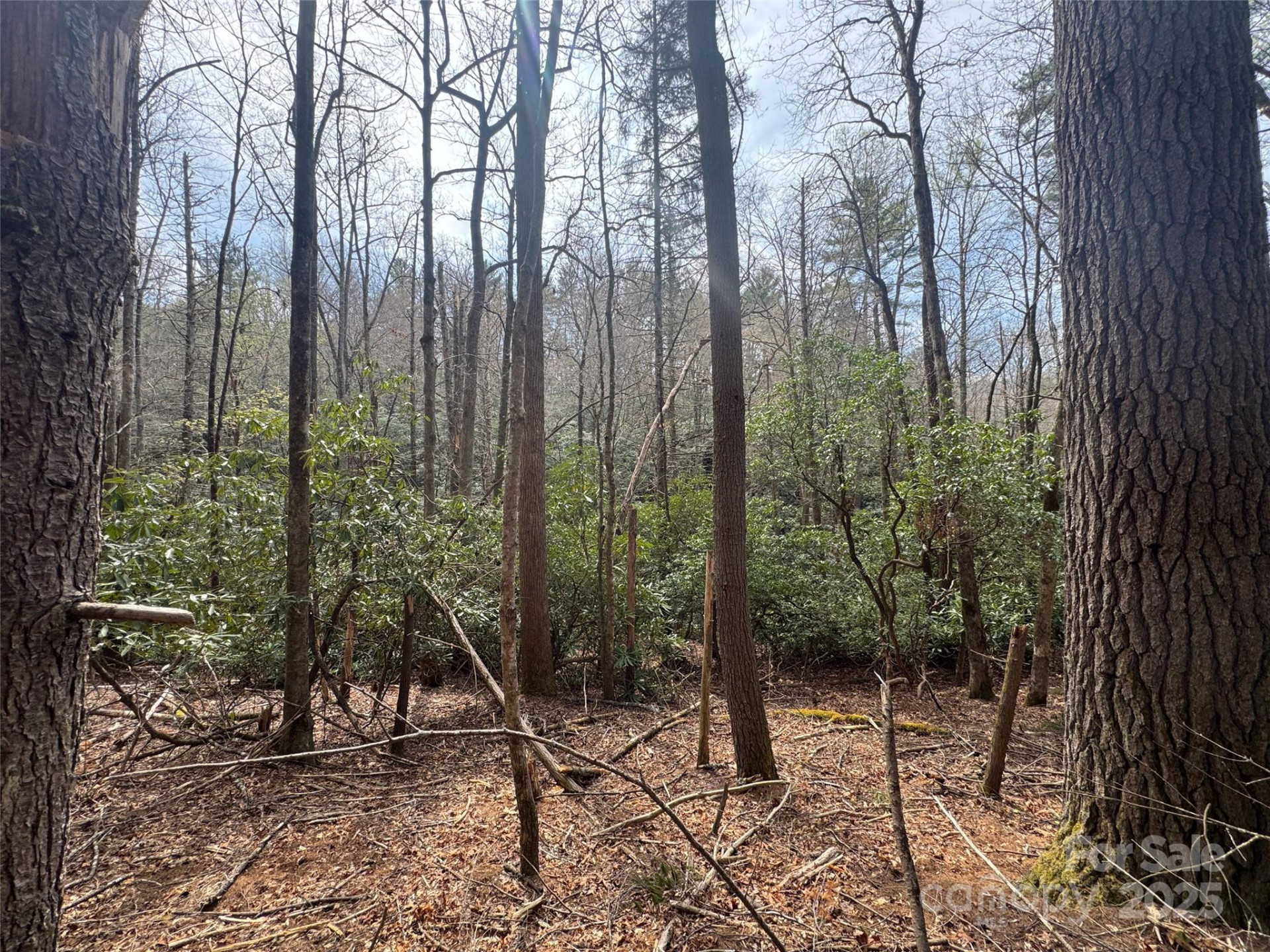 Tract A Cherrywood Lane #A - Photo 11