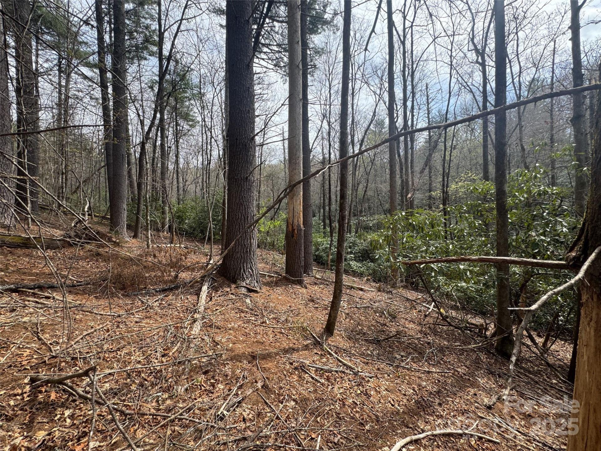 Tract A Cherrywood Lane #A - Photo 12