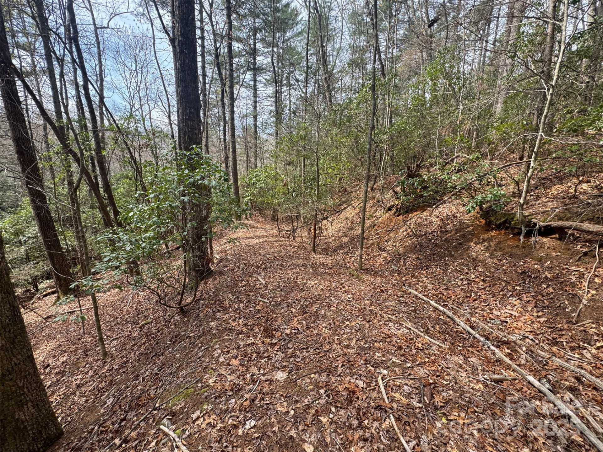 Tract A Cherrywood Lane #A - Photo 13