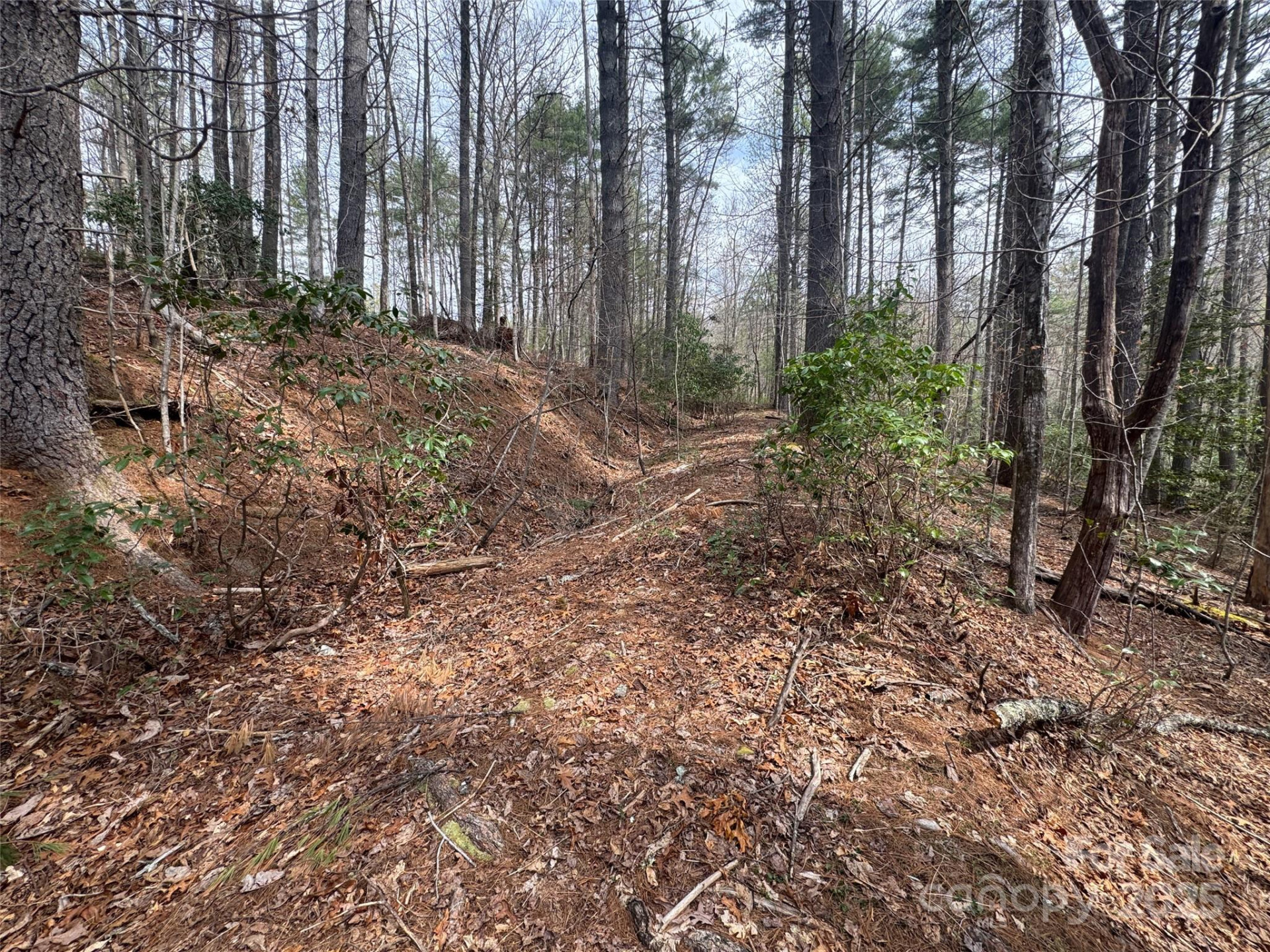 Tract A Cherrywood Lane #A - Photo 14