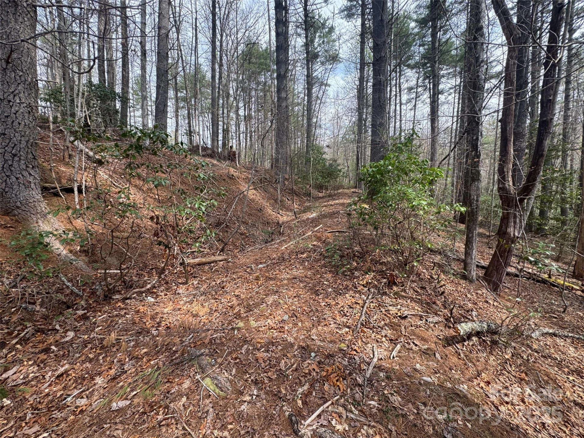 Tract A Cherrywood Lane #A - Photo 14
