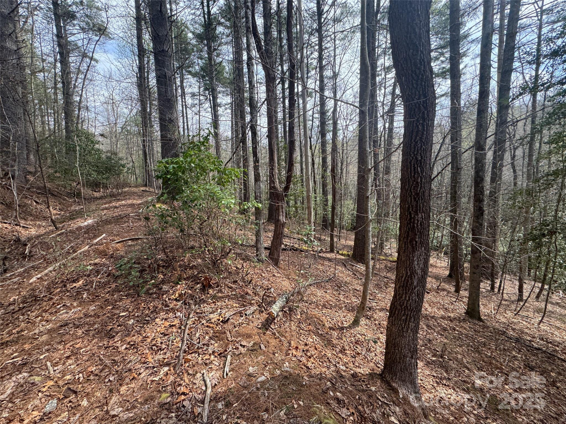 Tract A Cherrywood Lane #A - Photo 15