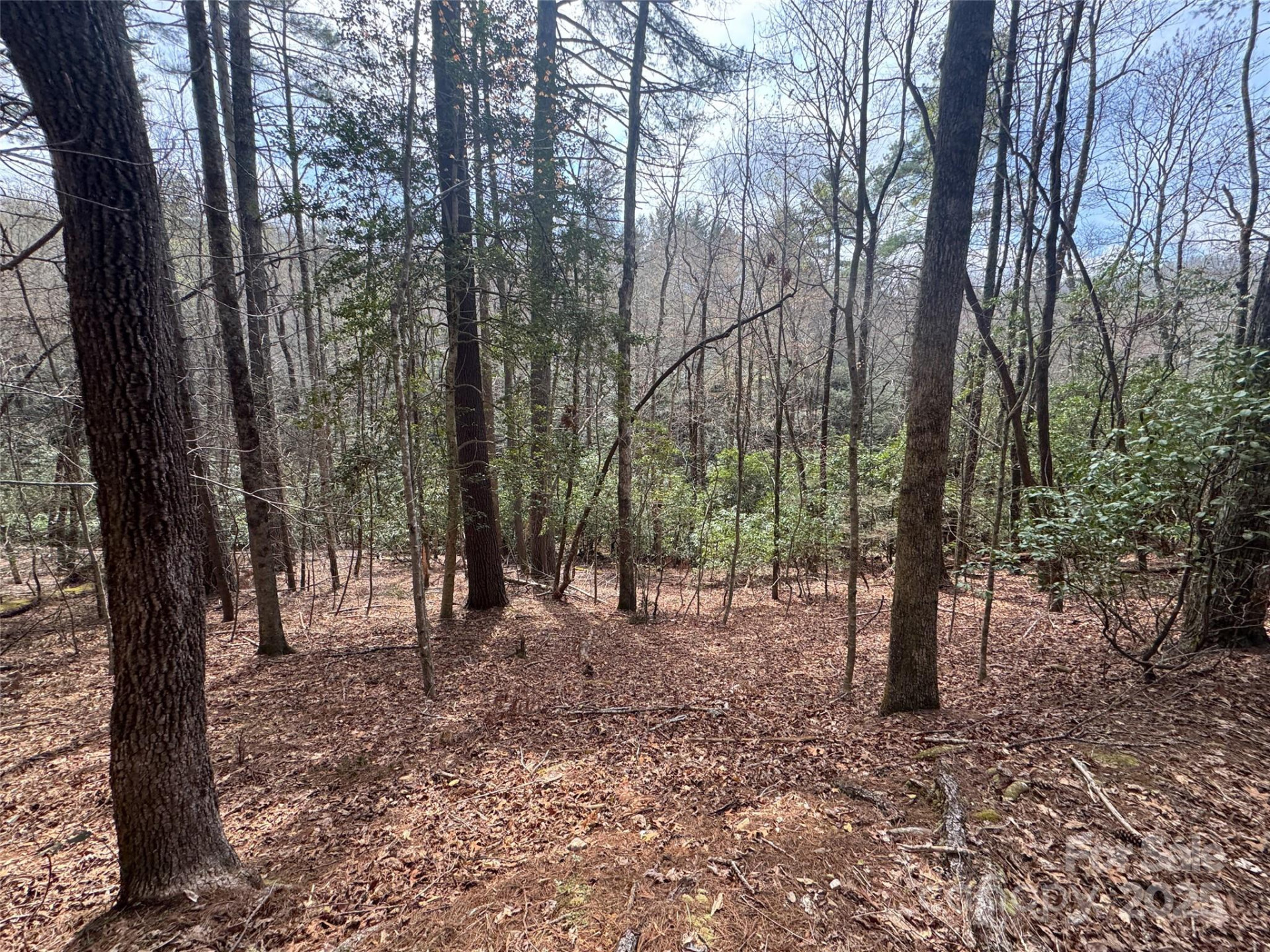 Tract A Cherrywood Lane #A - Photo 16