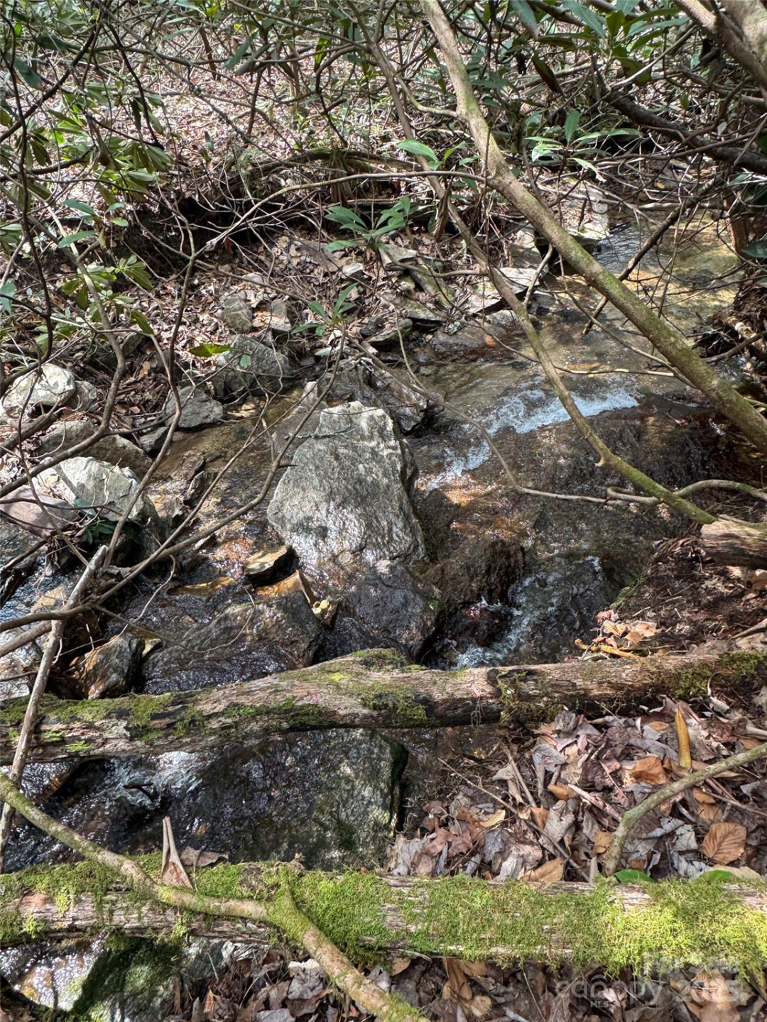 Tract A Cherrywood Lane #A - Photo 3