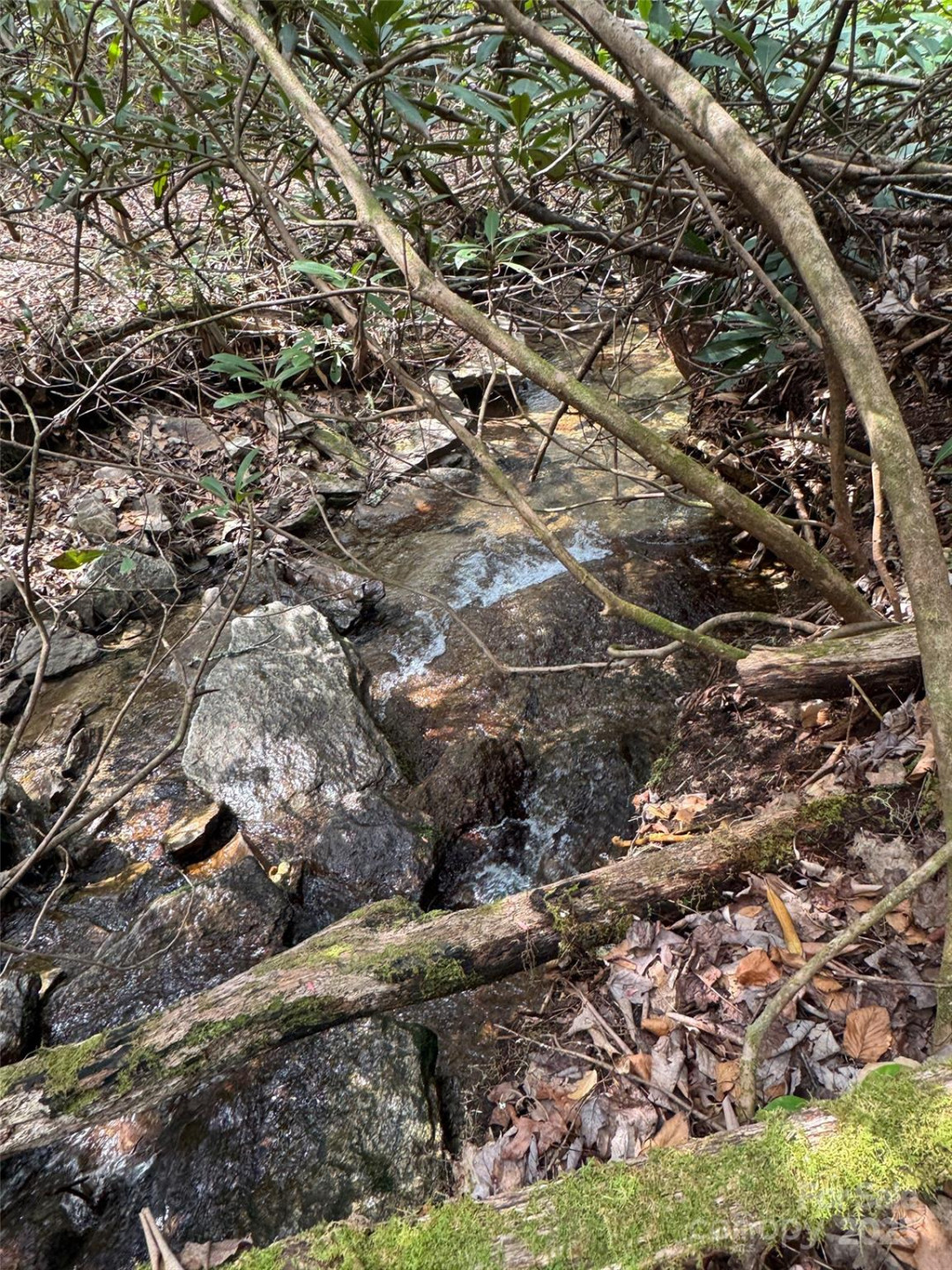 Tract A Cherrywood Lane #A - Photo 4