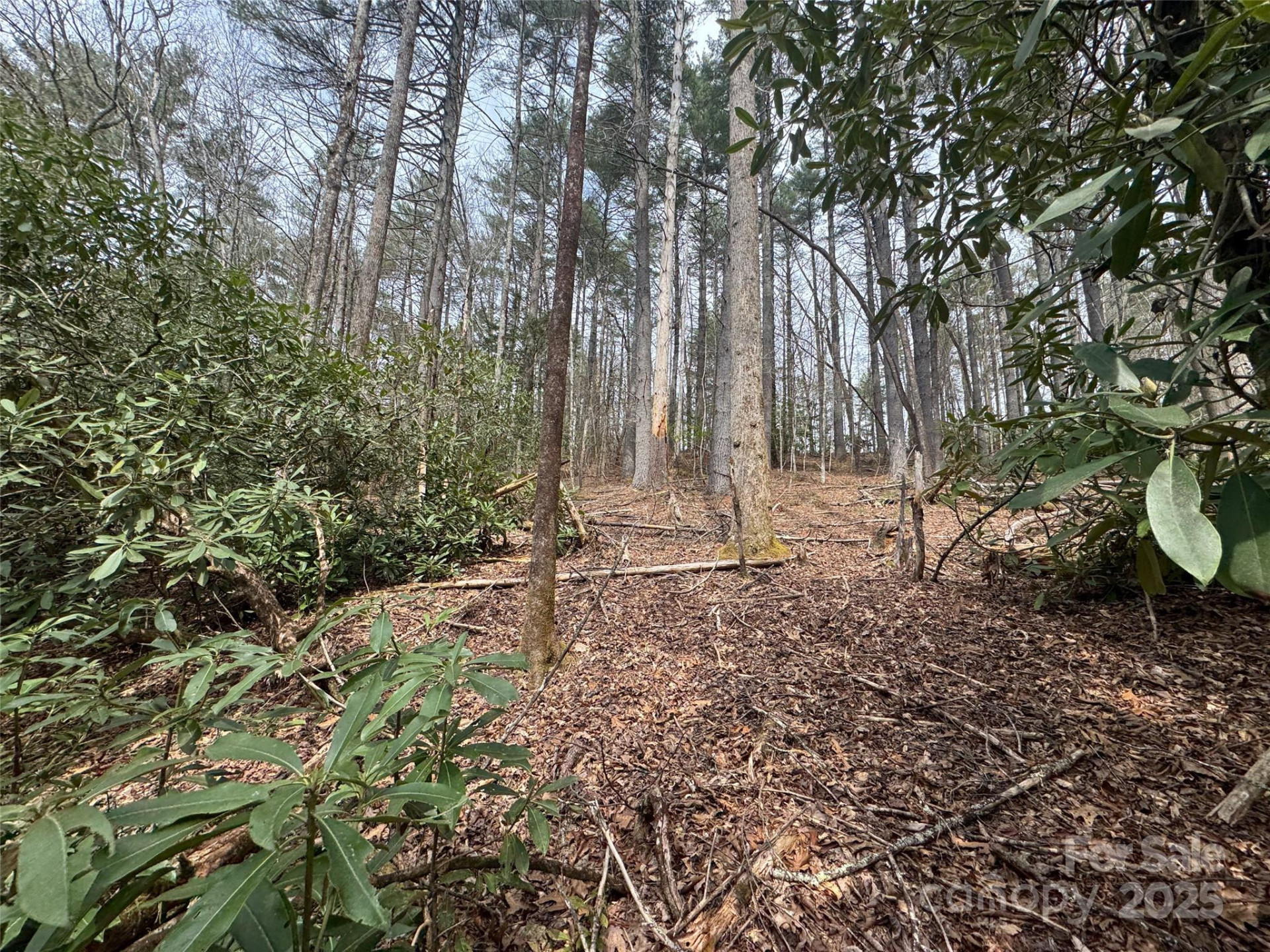 Tract A Cherrywood Lane #A - Photo 5