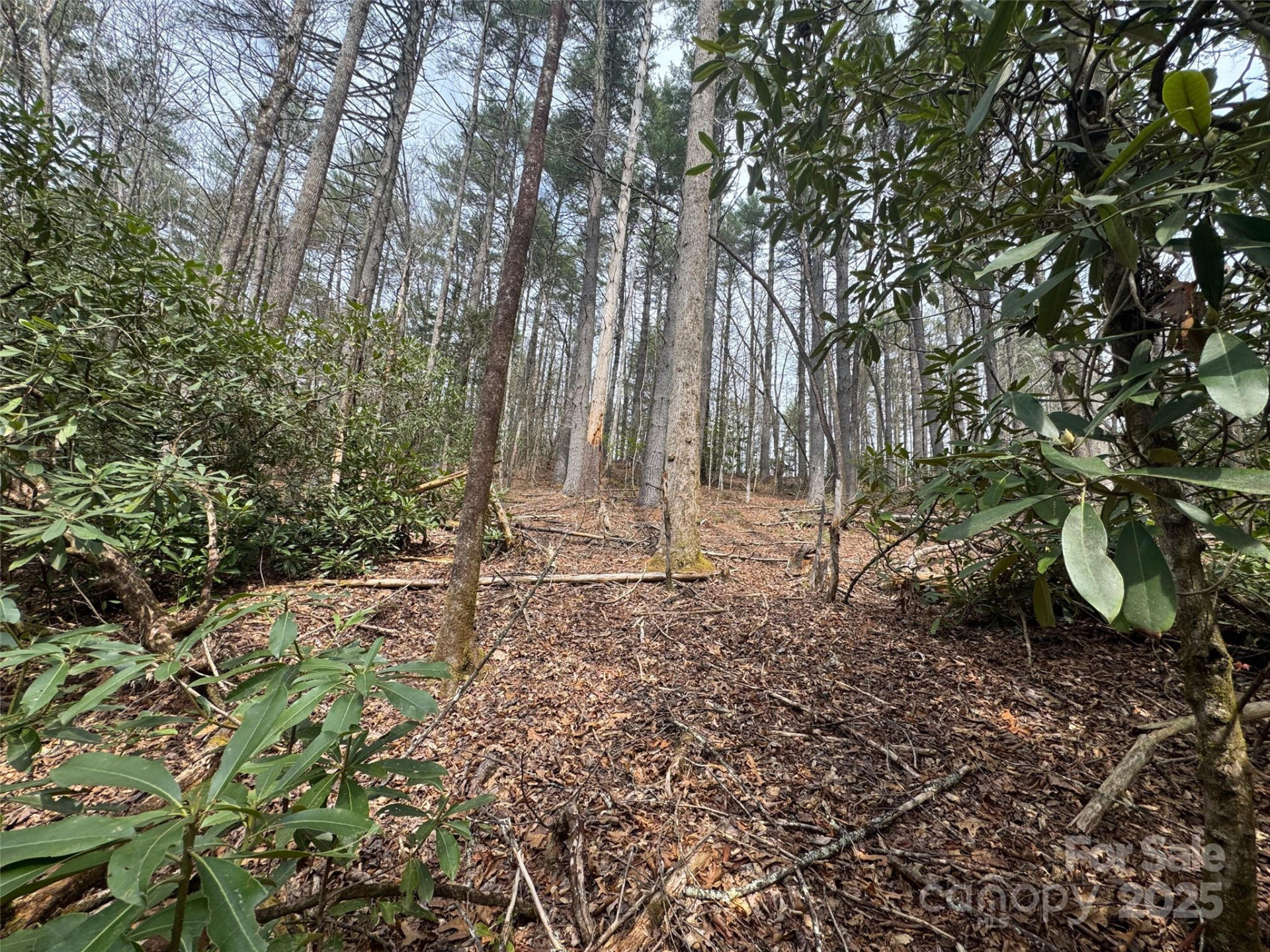 Tract A Cherrywood Lane #A - Photo 6