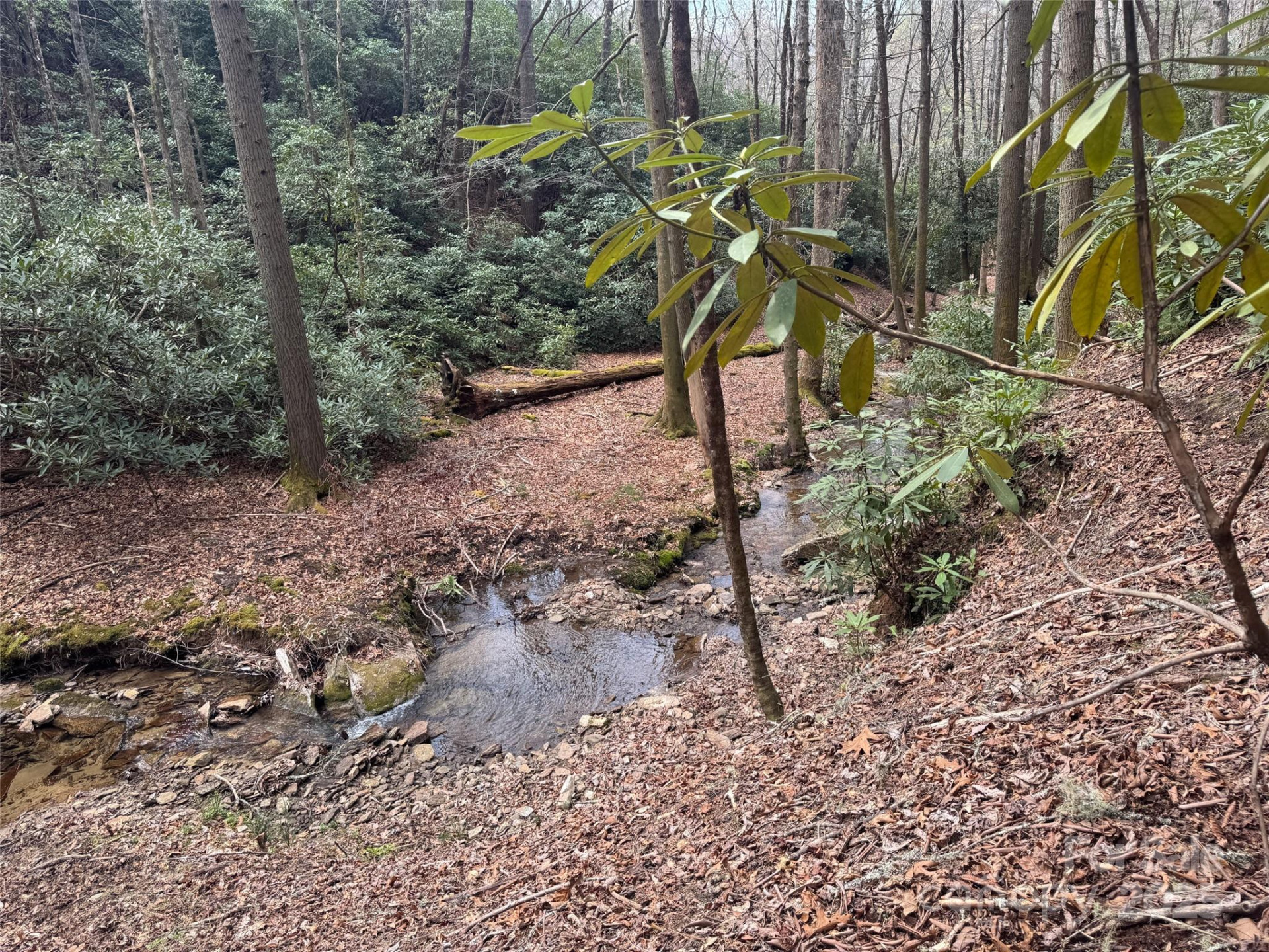 Tract A Cherrywood Lane #A - Photo 7