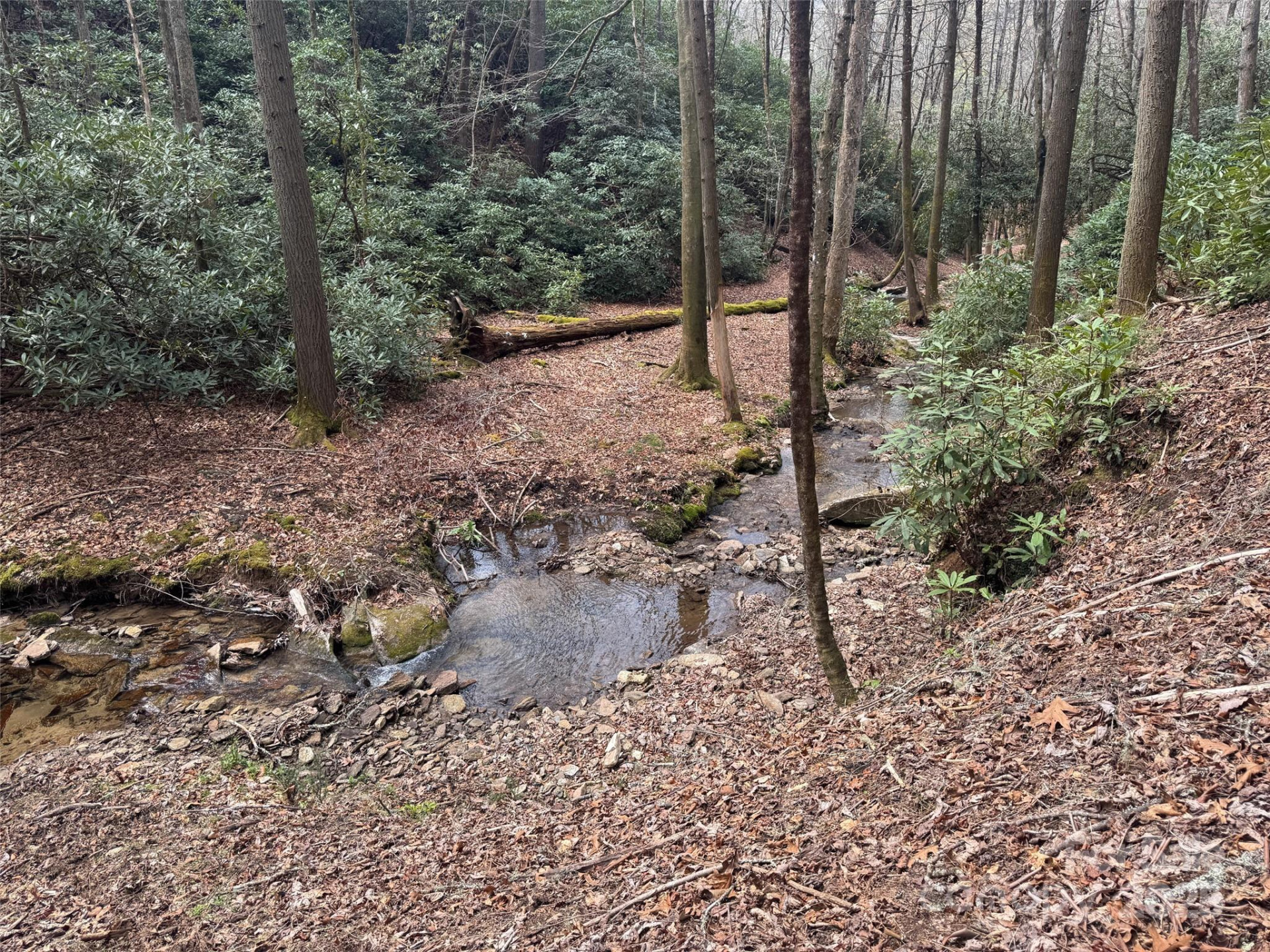 Tract A Cherrywood Lane #A - Photo 8