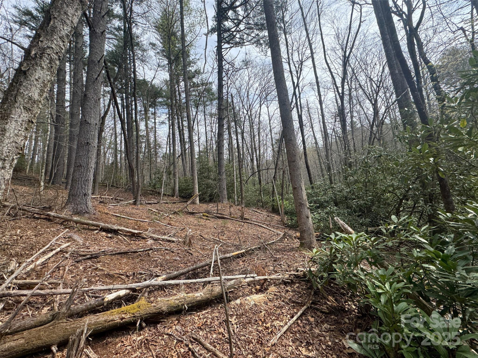 Tract A Cherrywood Lane #A - Photo 9