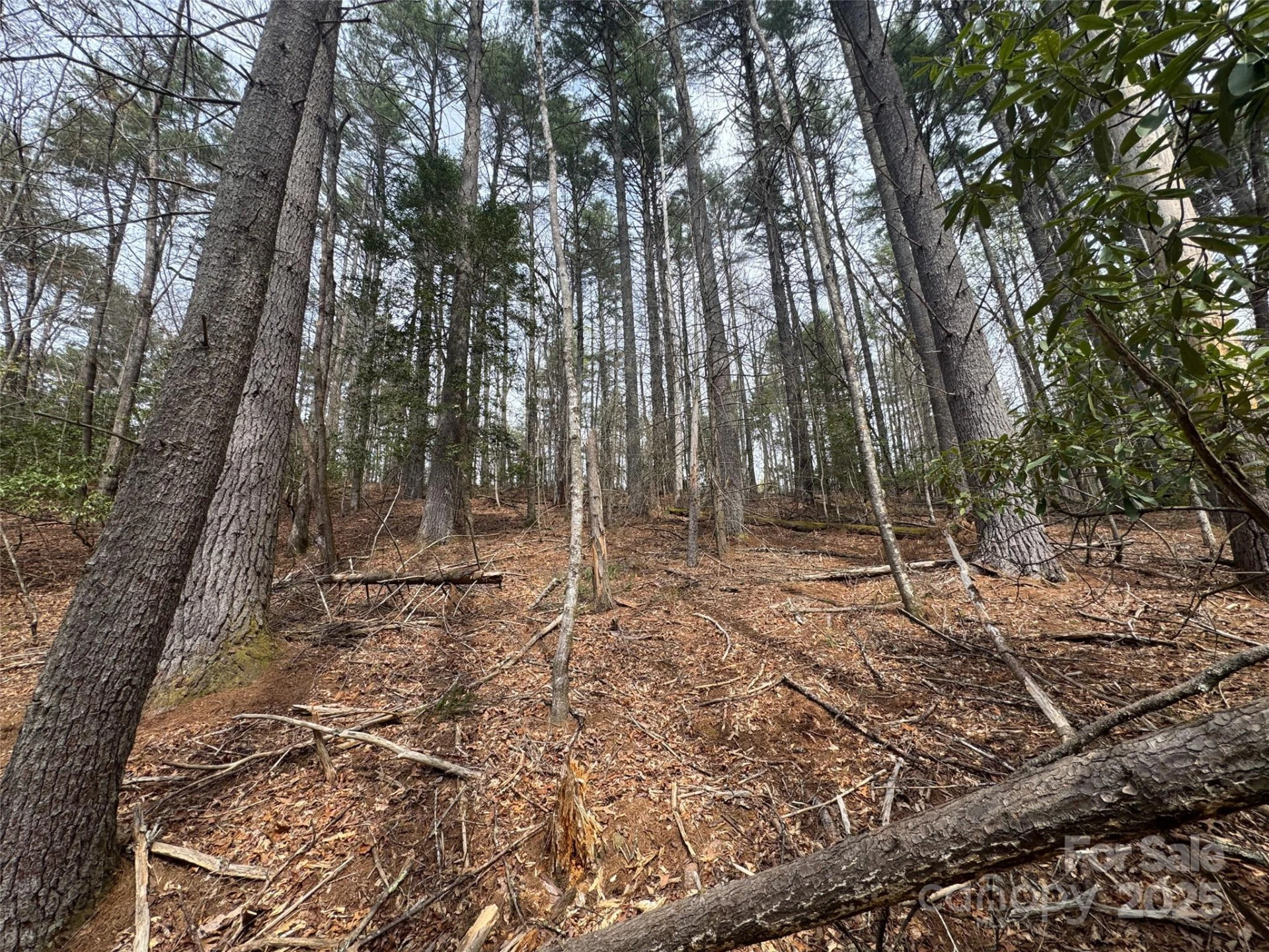 Tract A Cherrywood Lane #A - Photo 10