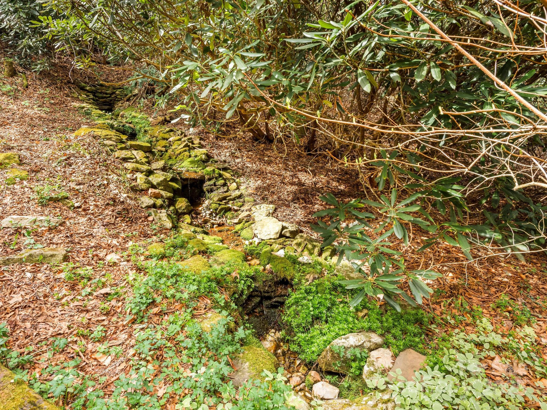 70 Fox Run - Photo 23