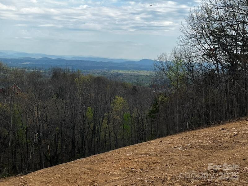 5631 Mineral Springs Mountain Avenue - Photo 2