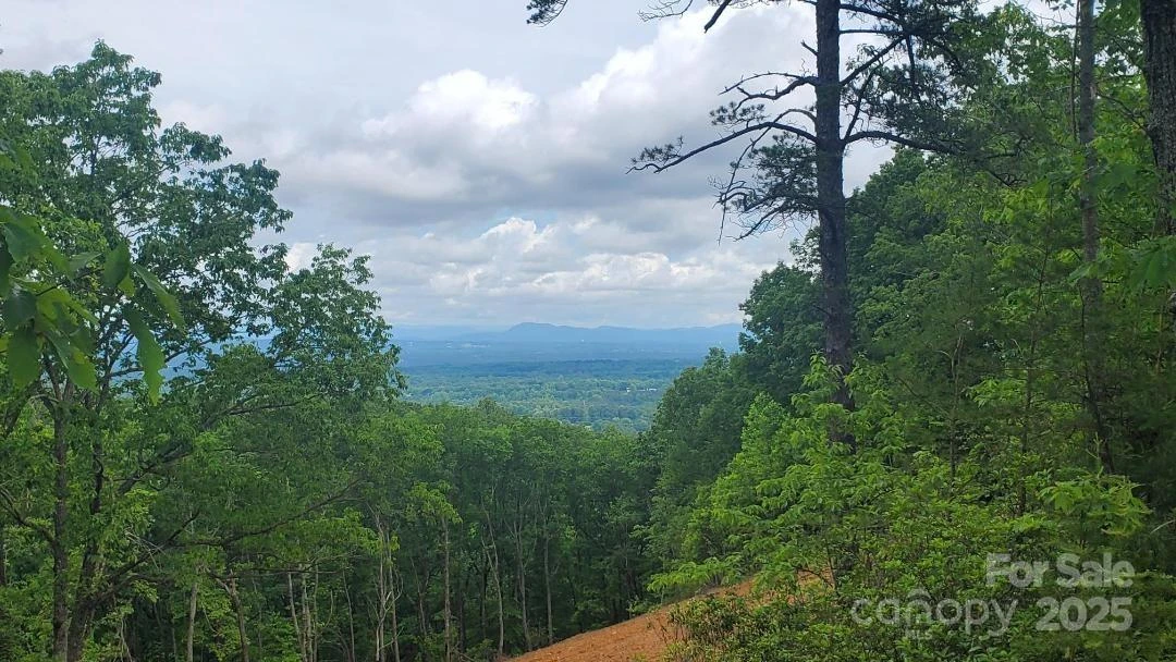 5631 Mineral Springs Mountain Avenue - Photo 3