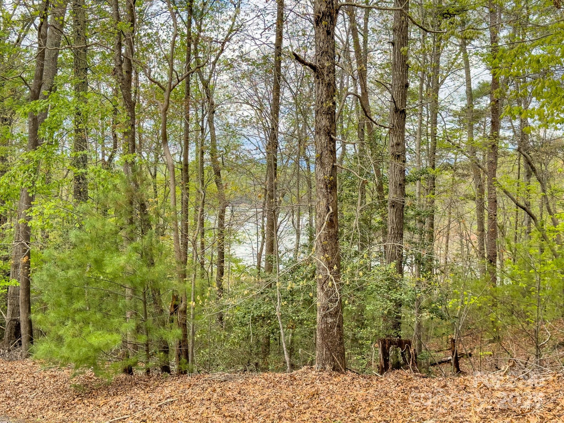 0 Memory Lane - Photo 2